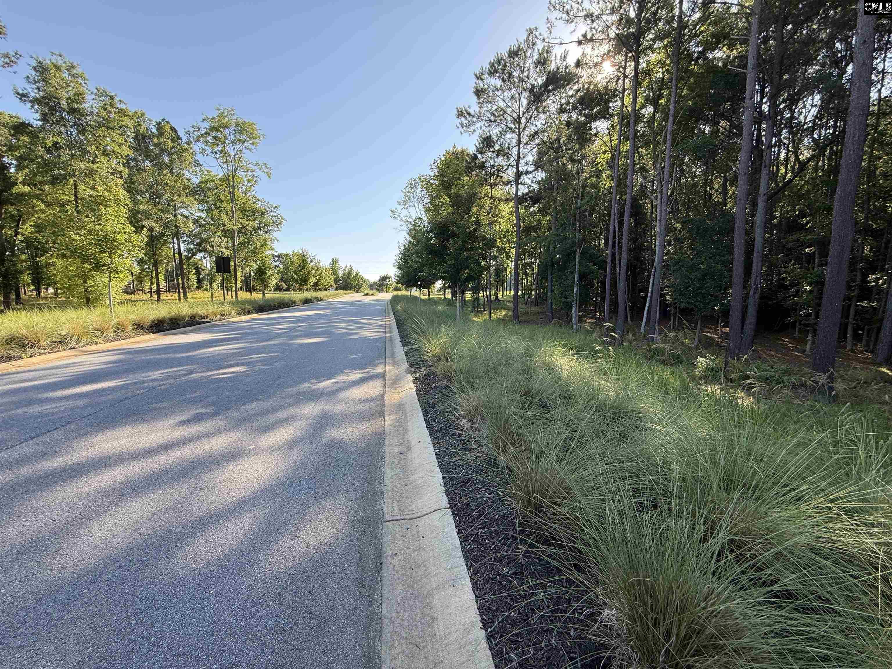 60 Circle H Woods Road Prosperity, SC 29127