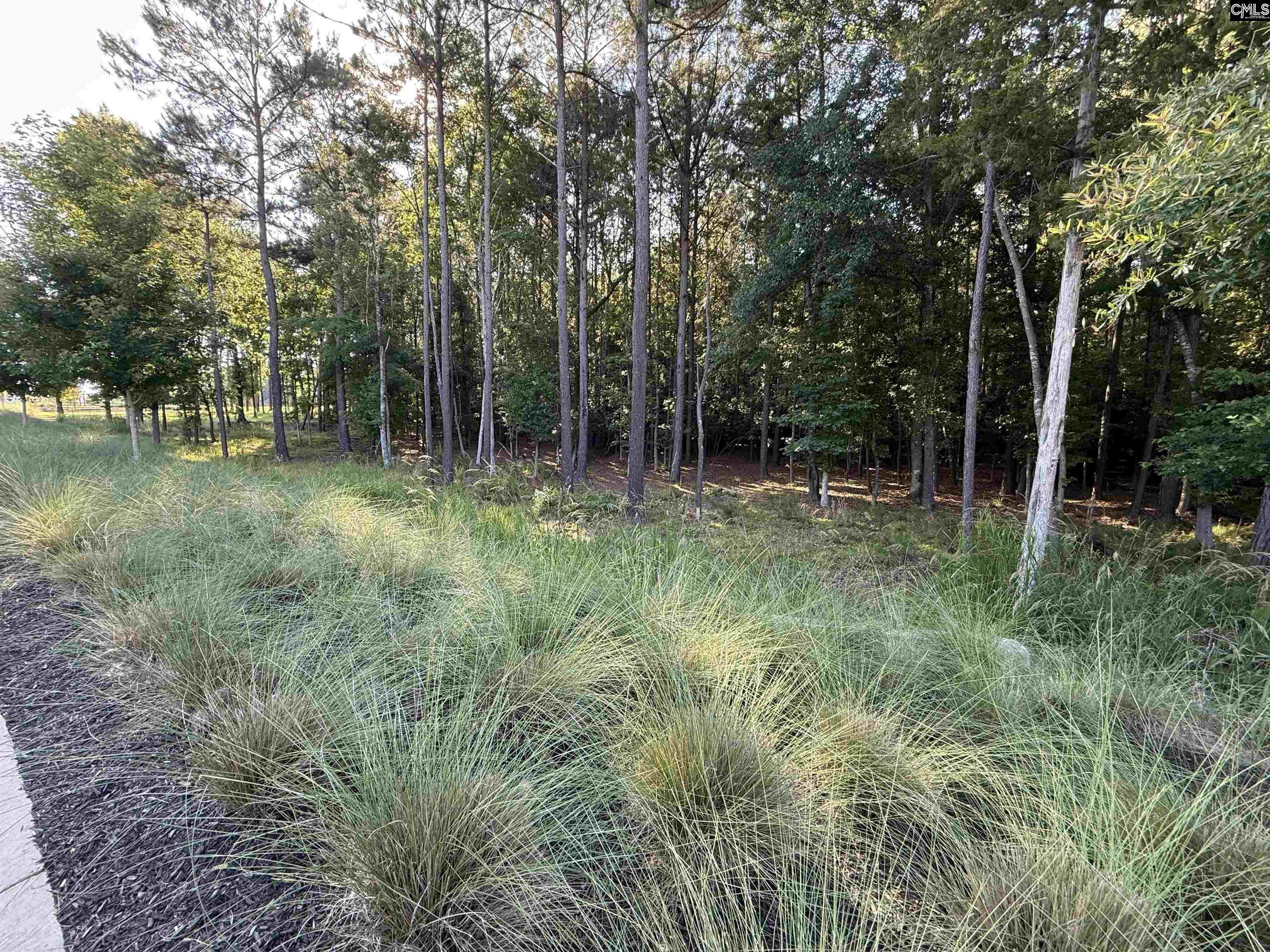60 Circle H Woods Road Prosperity, SC 29127