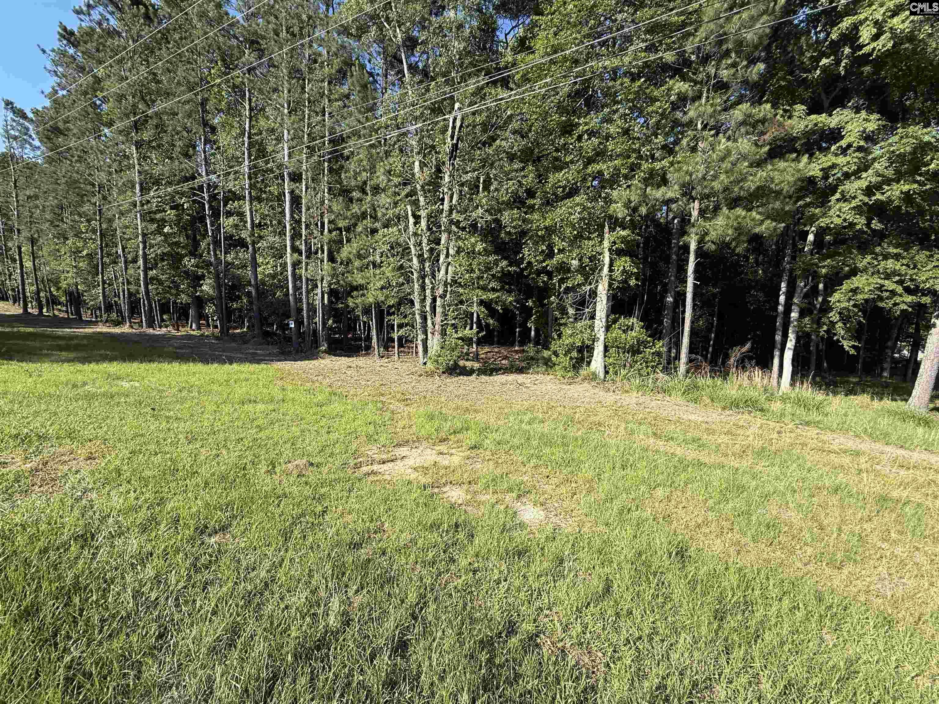 60 Circle H Woods Road Prosperity, SC 29127
