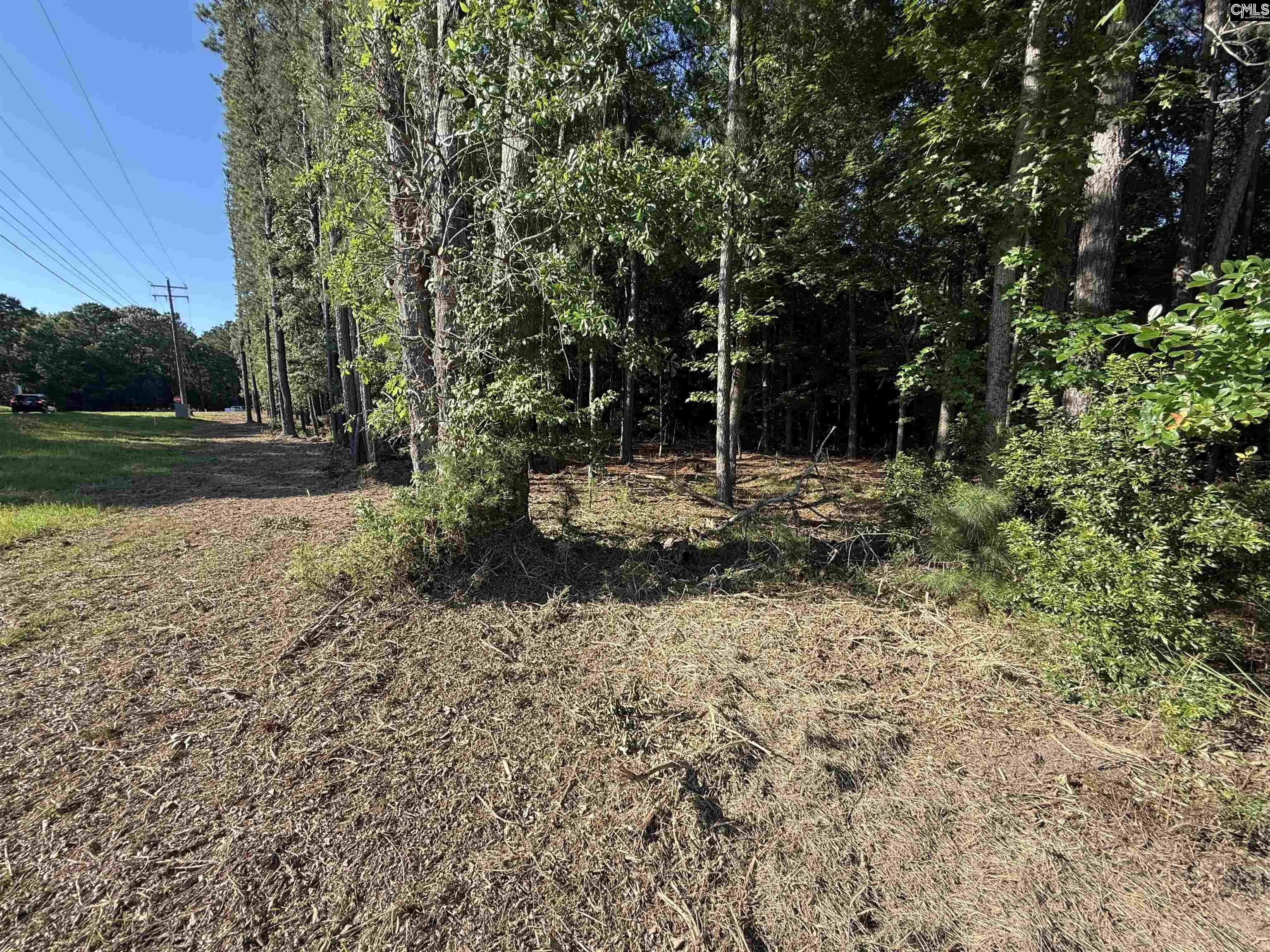 60 Circle H Woods Road Prosperity, SC 29127