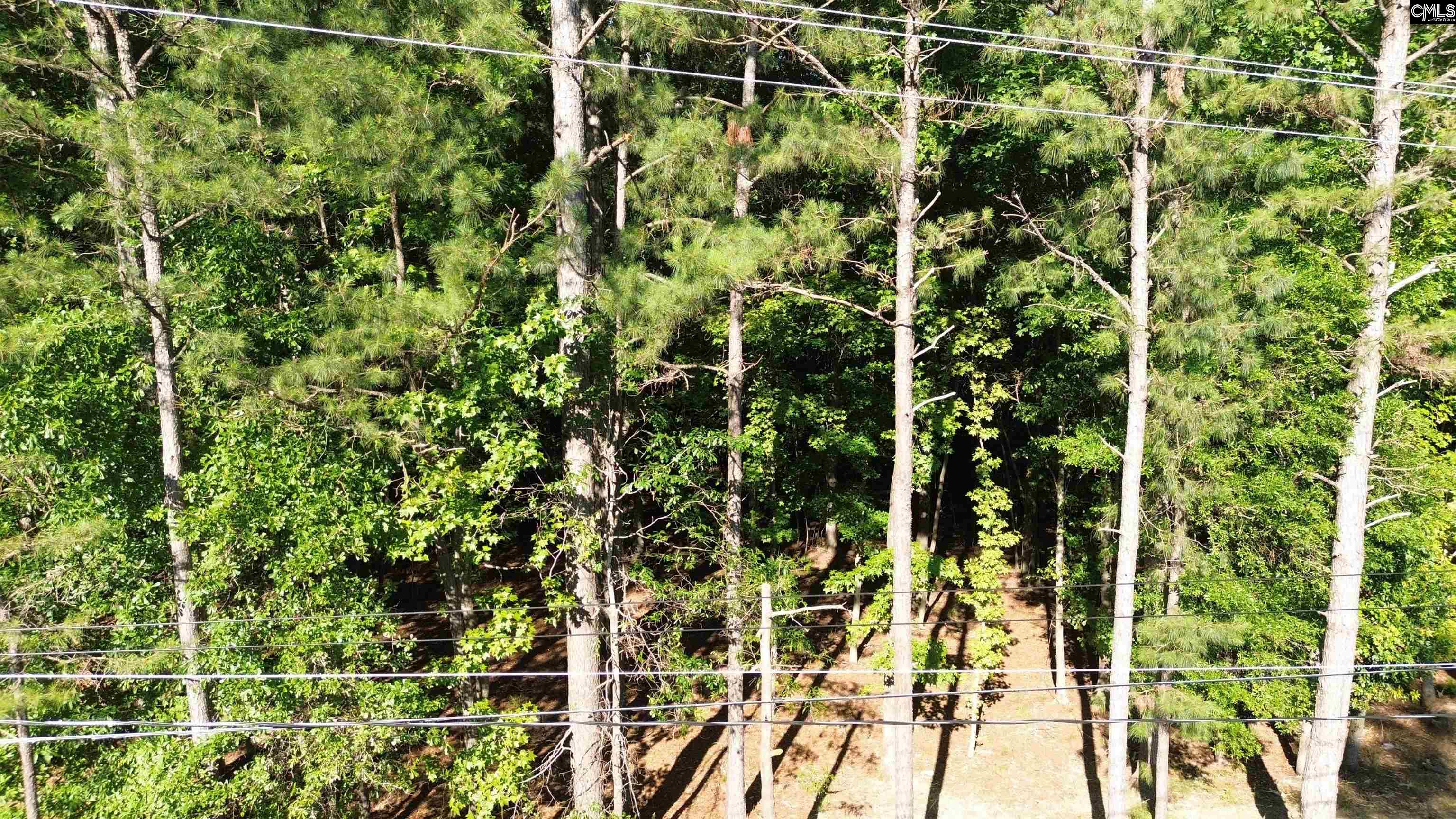 60 Circle H Woods Road Prosperity, SC 29127