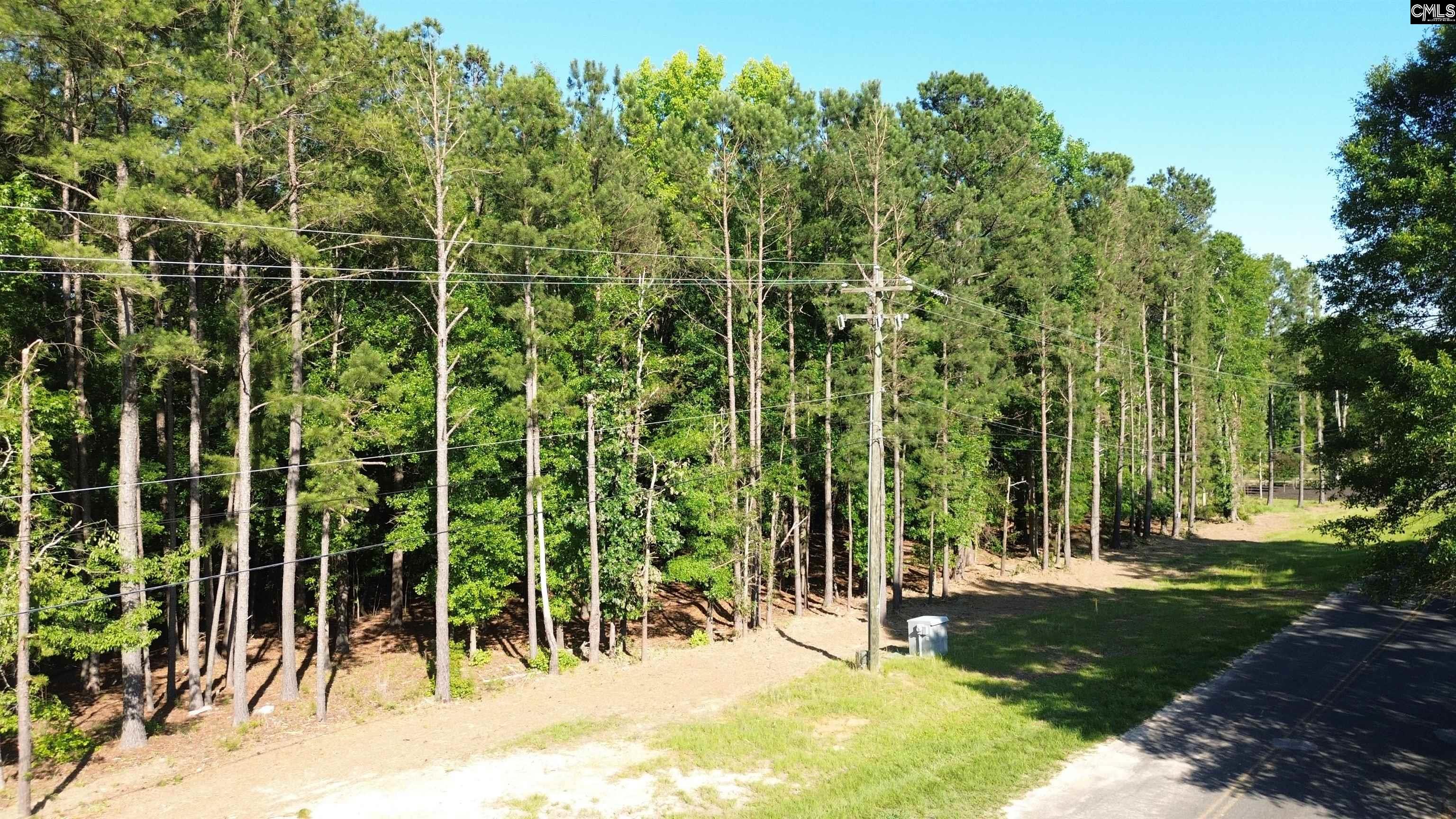 60 Circle H Woods Road Prosperity, SC 29127