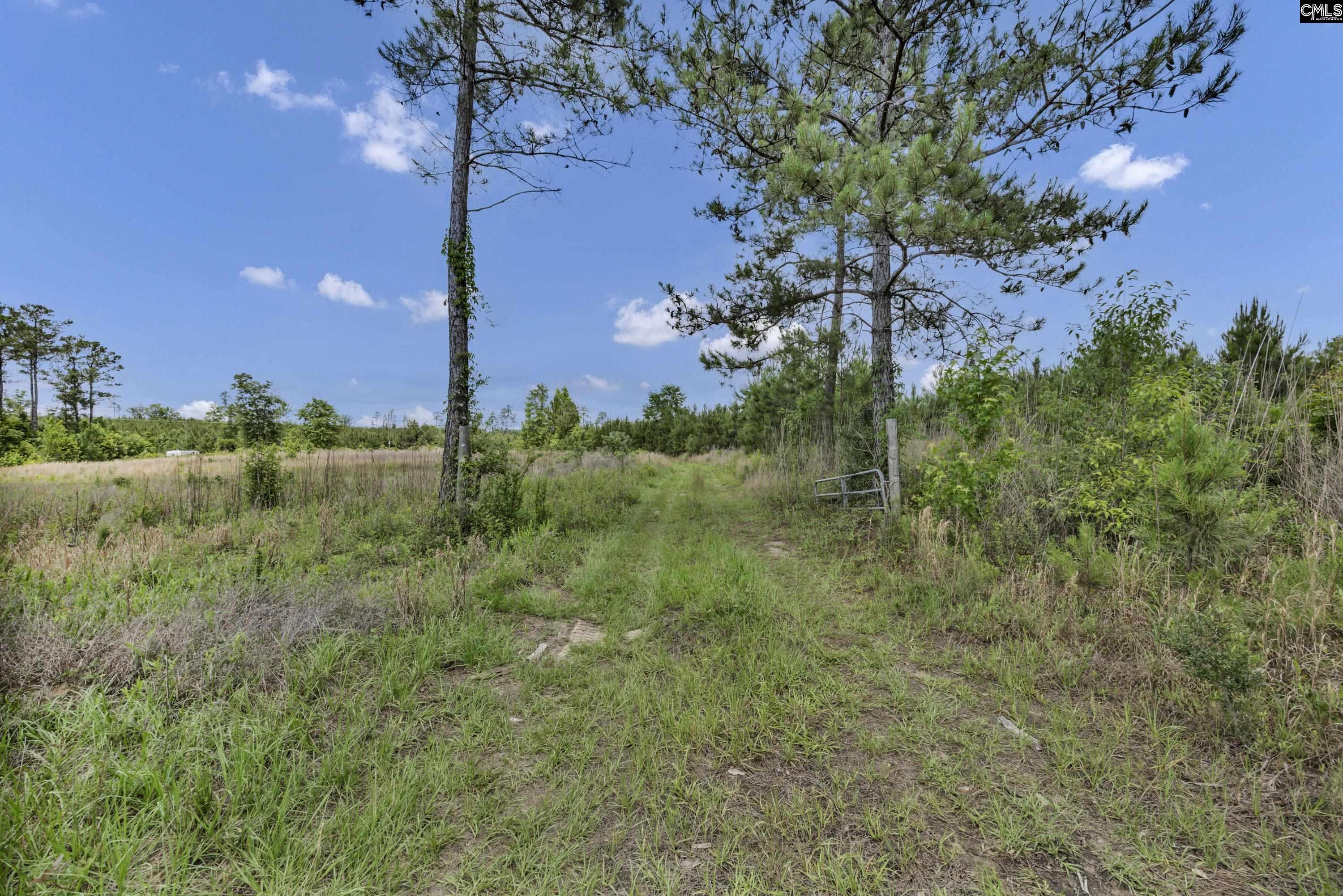 na Bull Swamp North, SC 29112