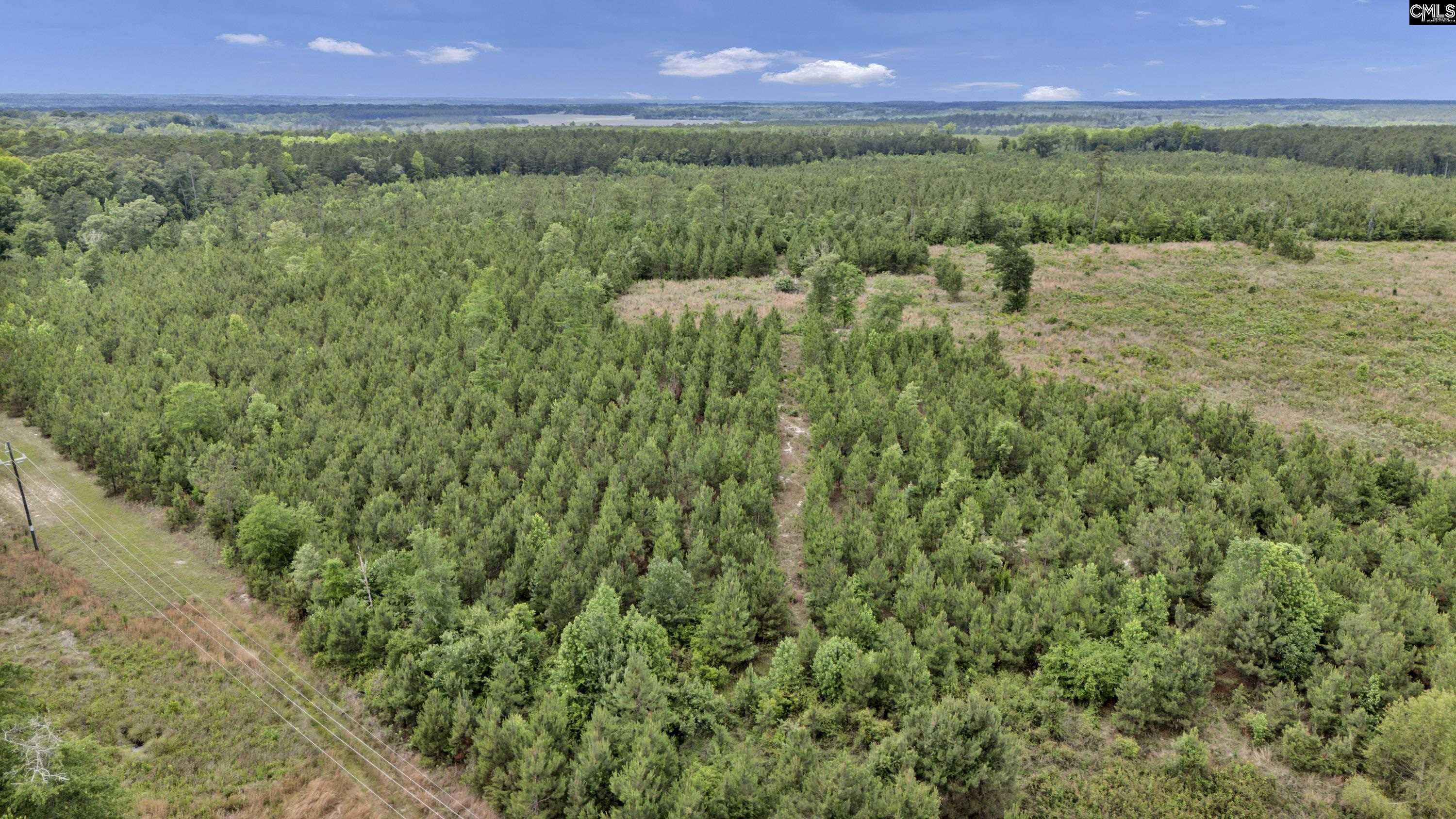 na Bull Swamp North, SC 29112