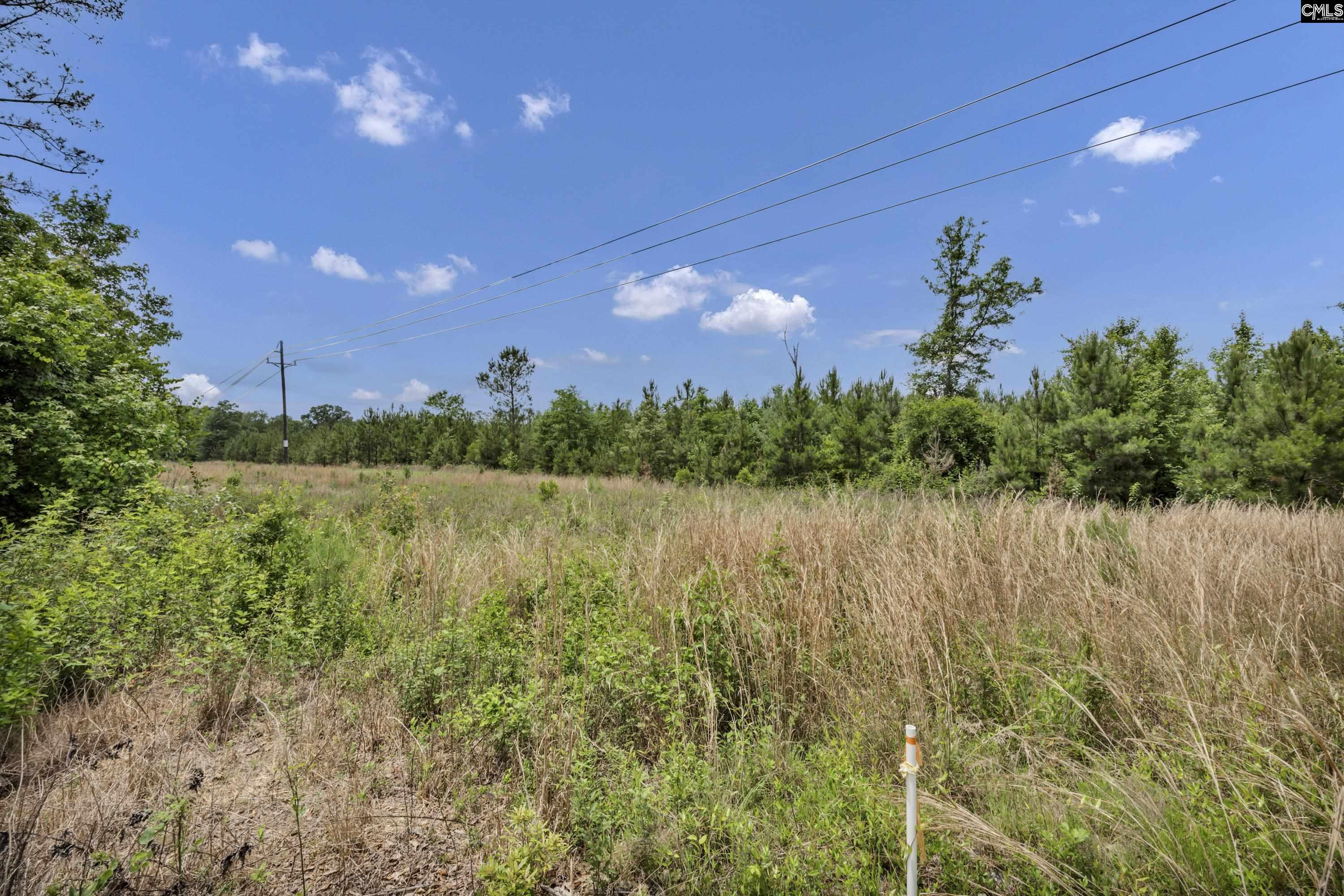 na Bull Swamp North, SC 29112