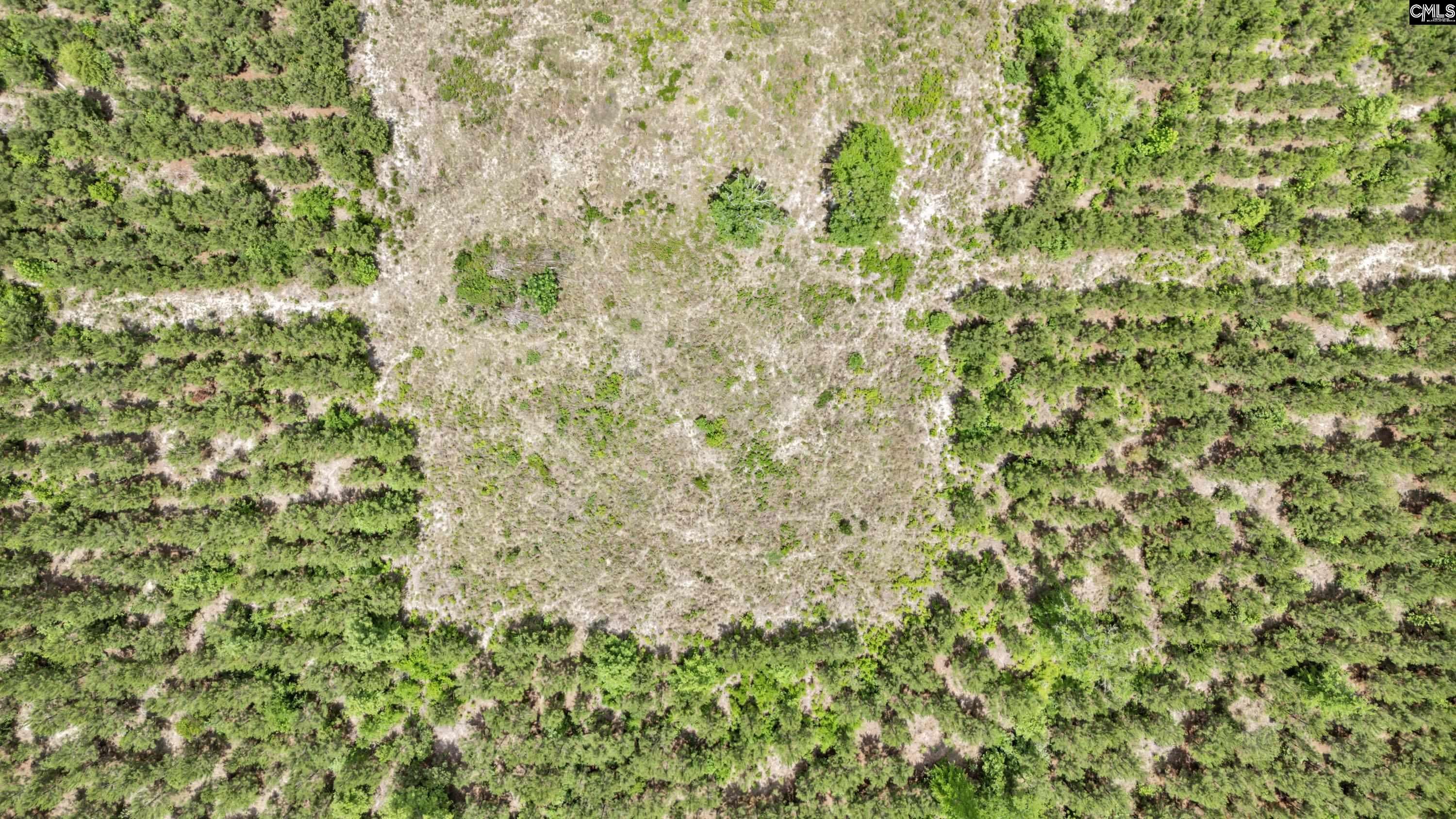 na Bull Swamp North, SC 29112