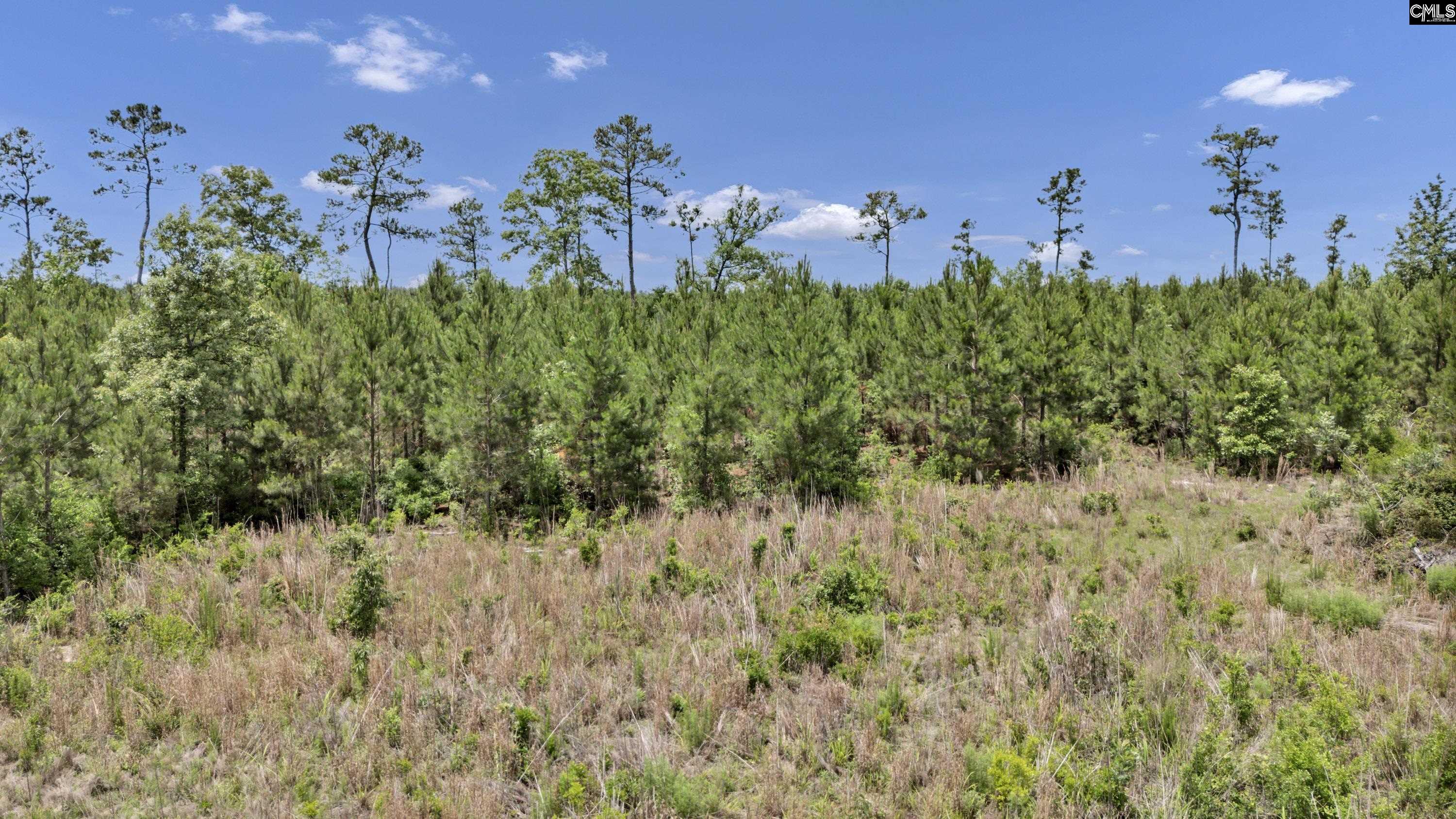 na Bull Swamp North, SC 29112
