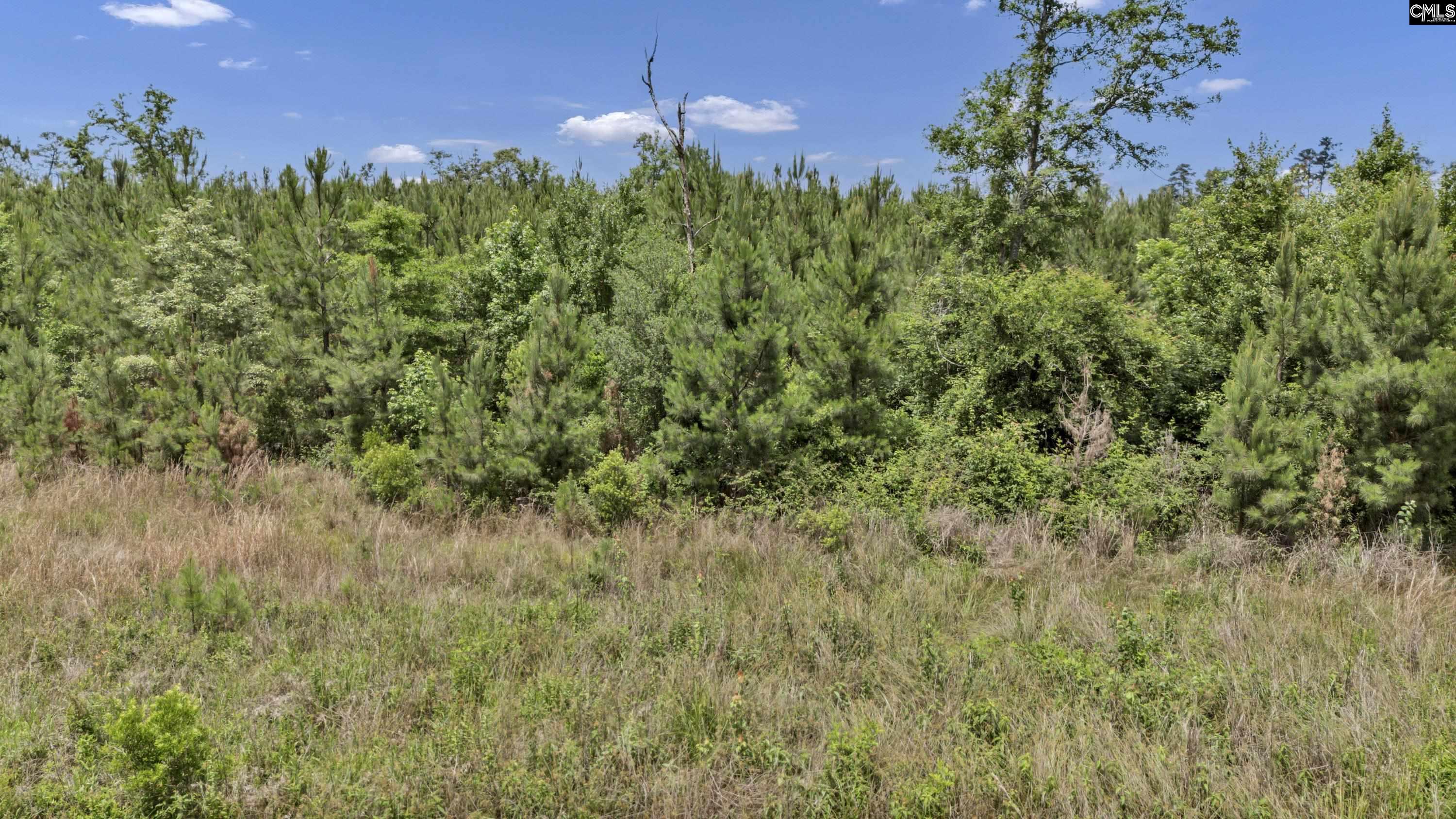 na Bull Swamp North, SC 29112