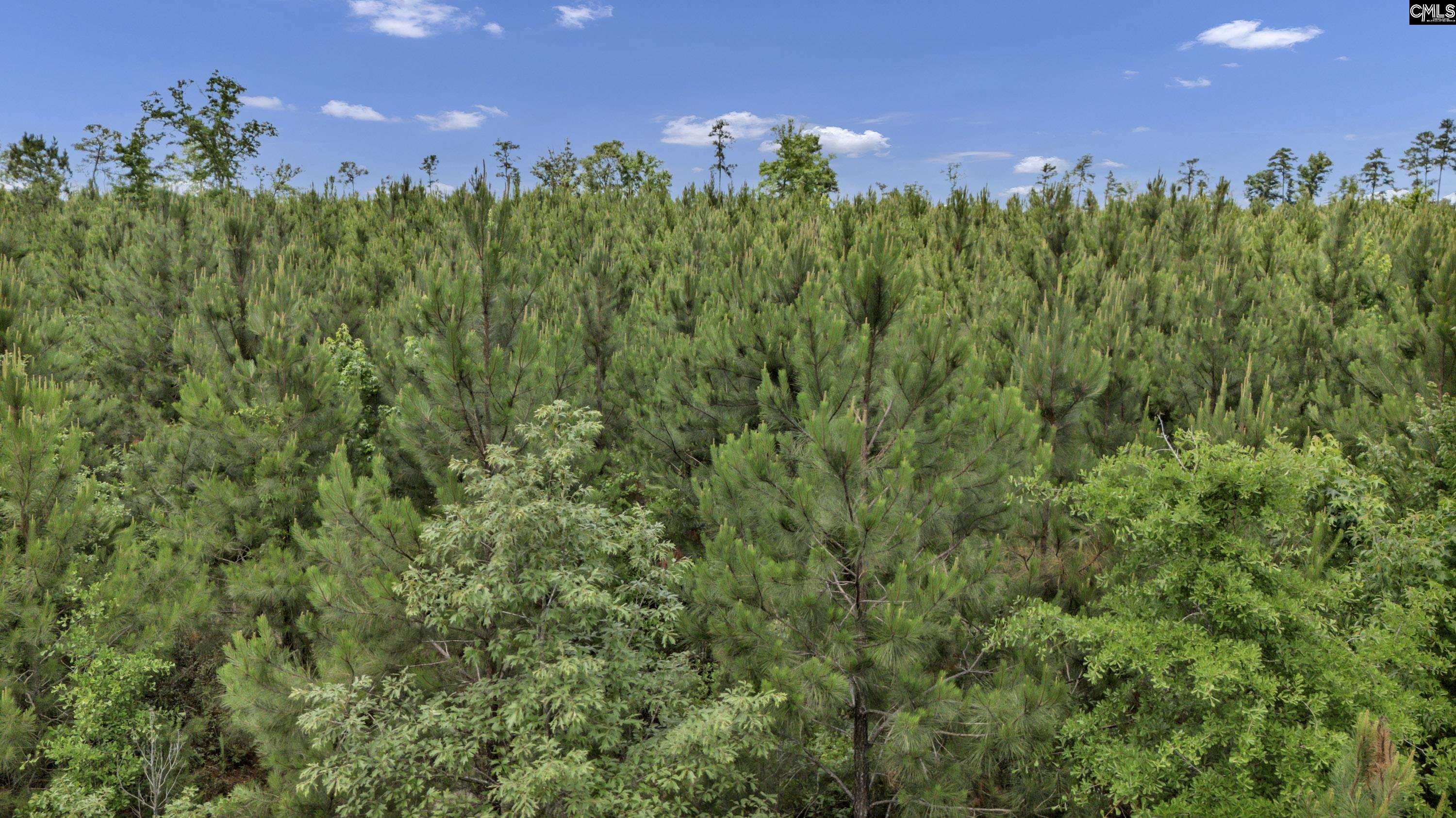 na Bull Swamp North, SC 29112
