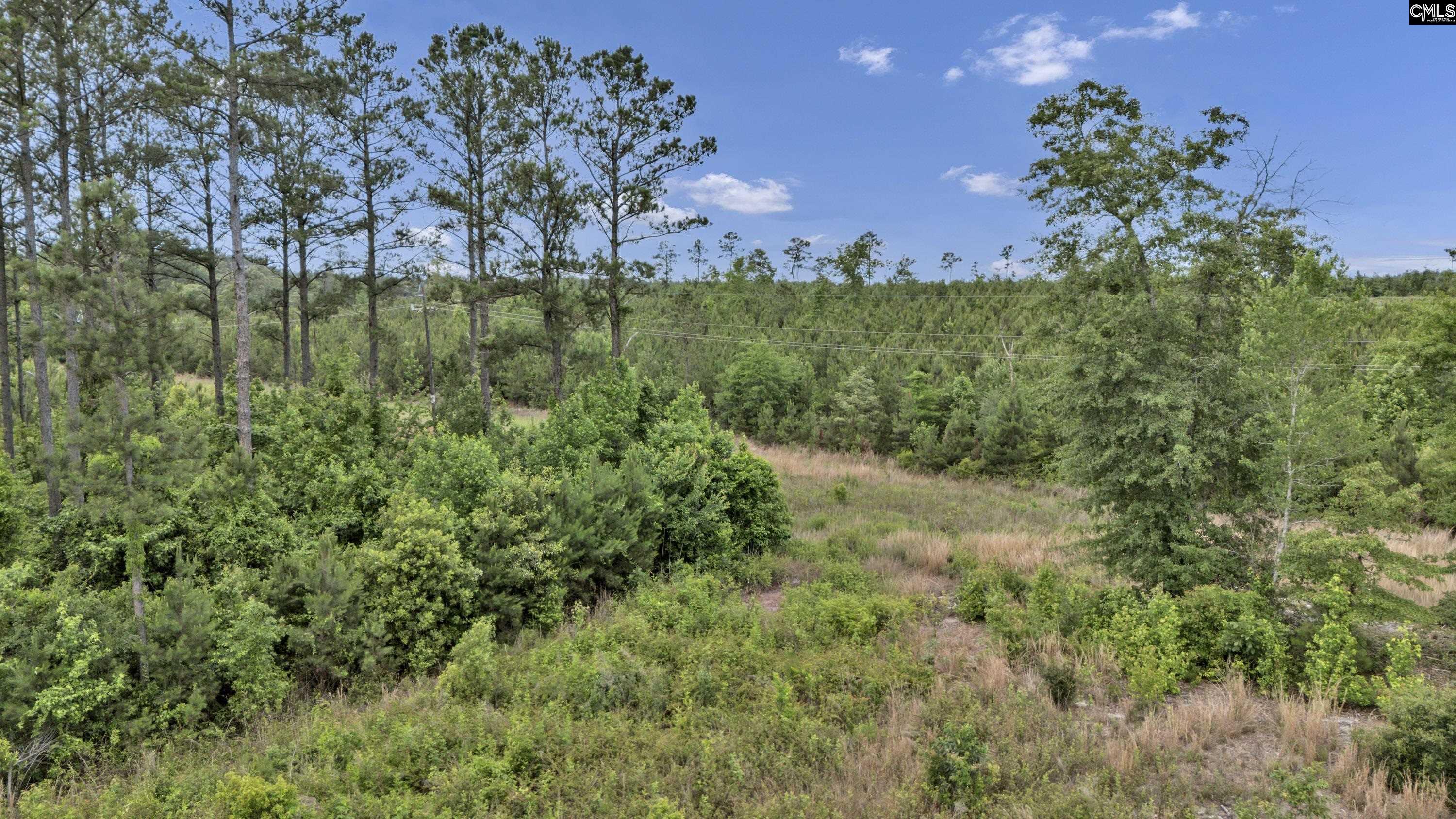 na Bull Swamp North, SC 29112