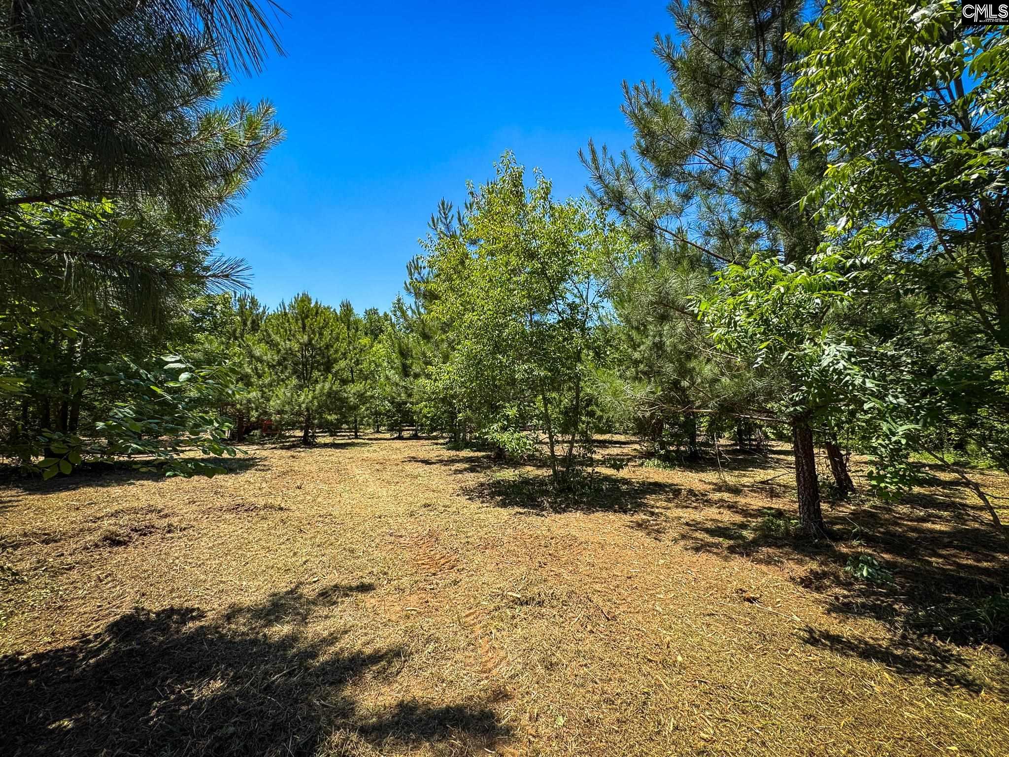 S Bethlehem Road UNIT Lot 1 Batesburg, SC 29006