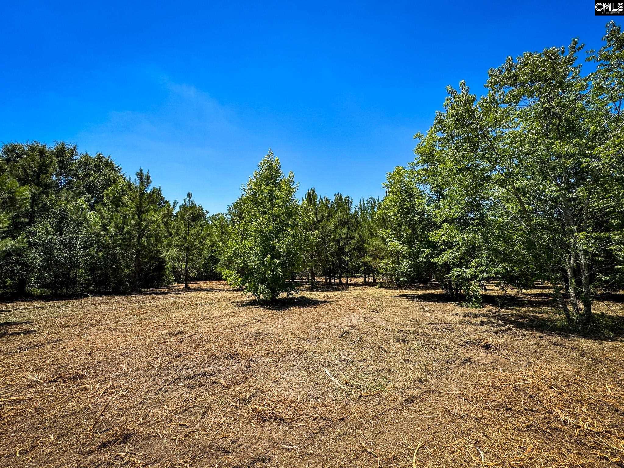 S Bethlehem Road UNIT Lot 1 Batesburg, SC 29006