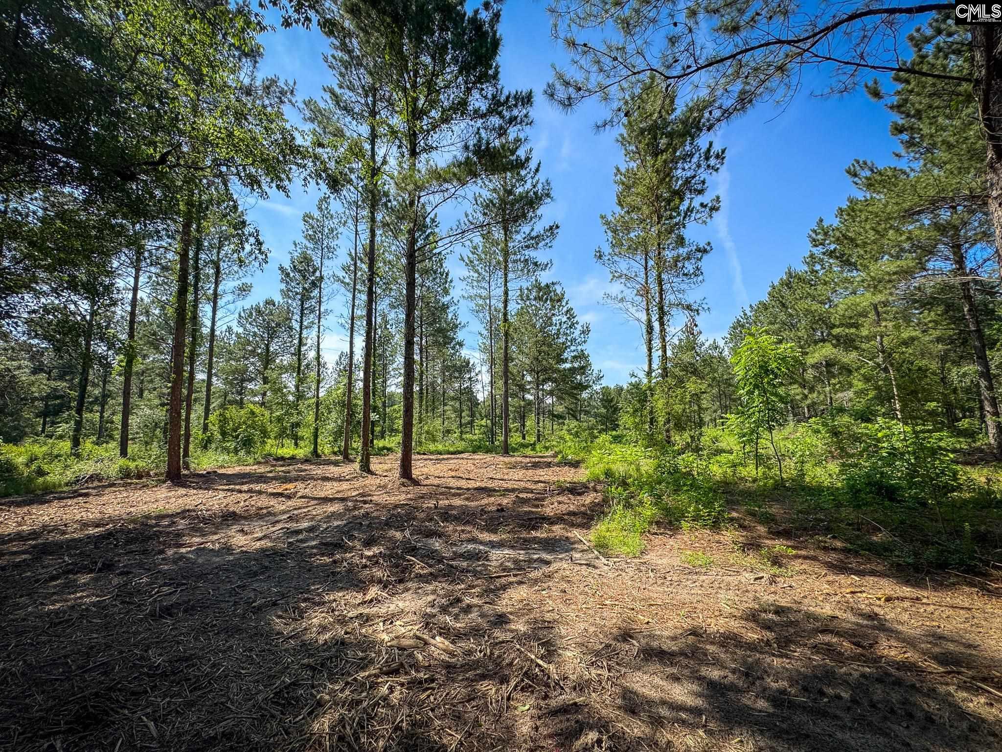 Lewis Waters Road Leesville, SC 29070