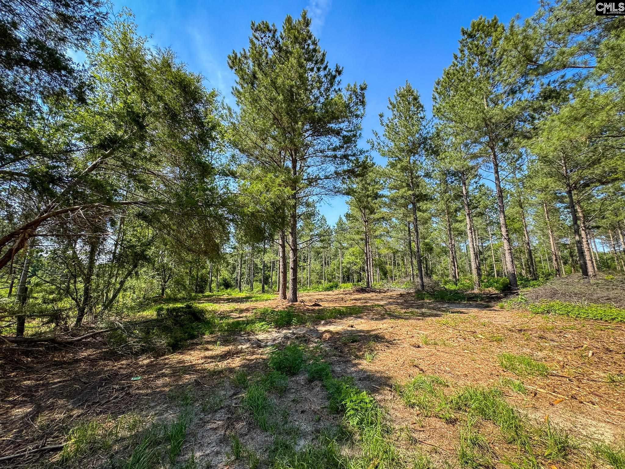 Lewis Waters Road UNIT Lot 2 Leesville, SC 29070