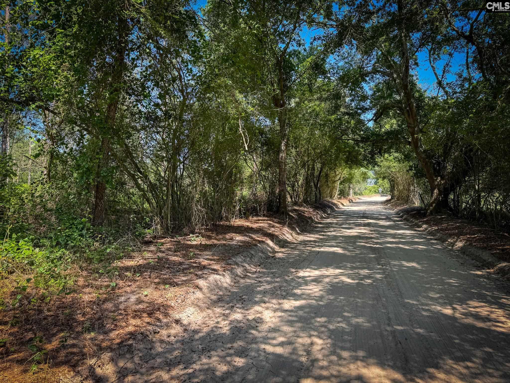 Lewis Waters Road UNIT Lot 3 Leesville, SC 29070