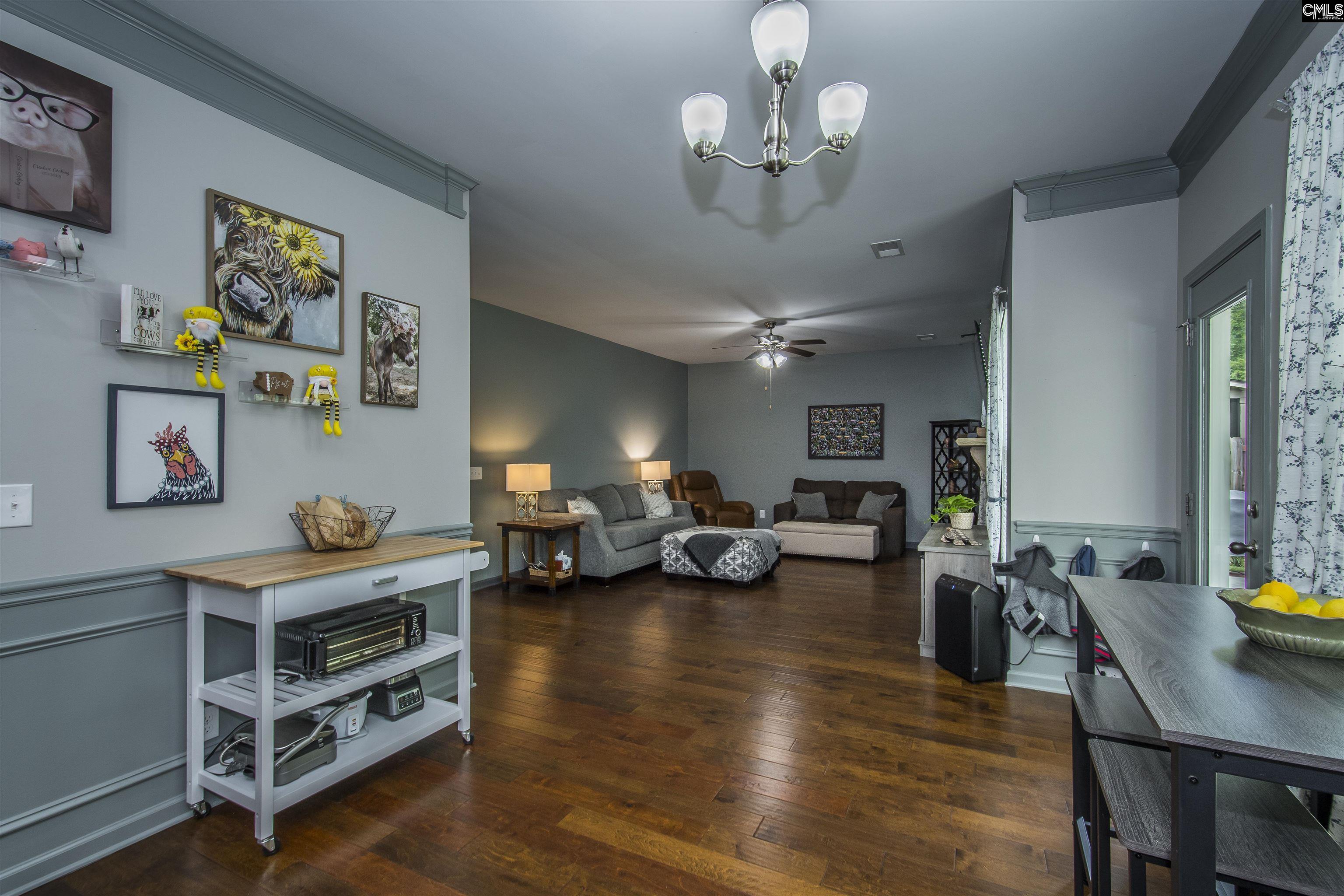 536 Lever Hill Court Chapin, SC 29036