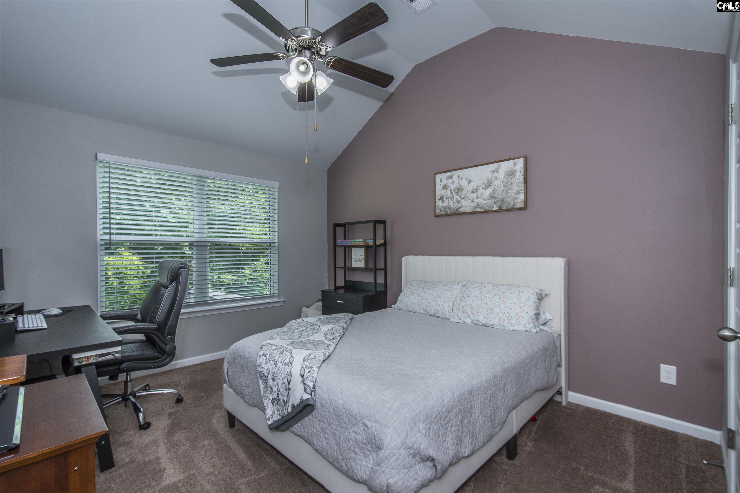 536 Lever Hill Court Chapin, SC 29036