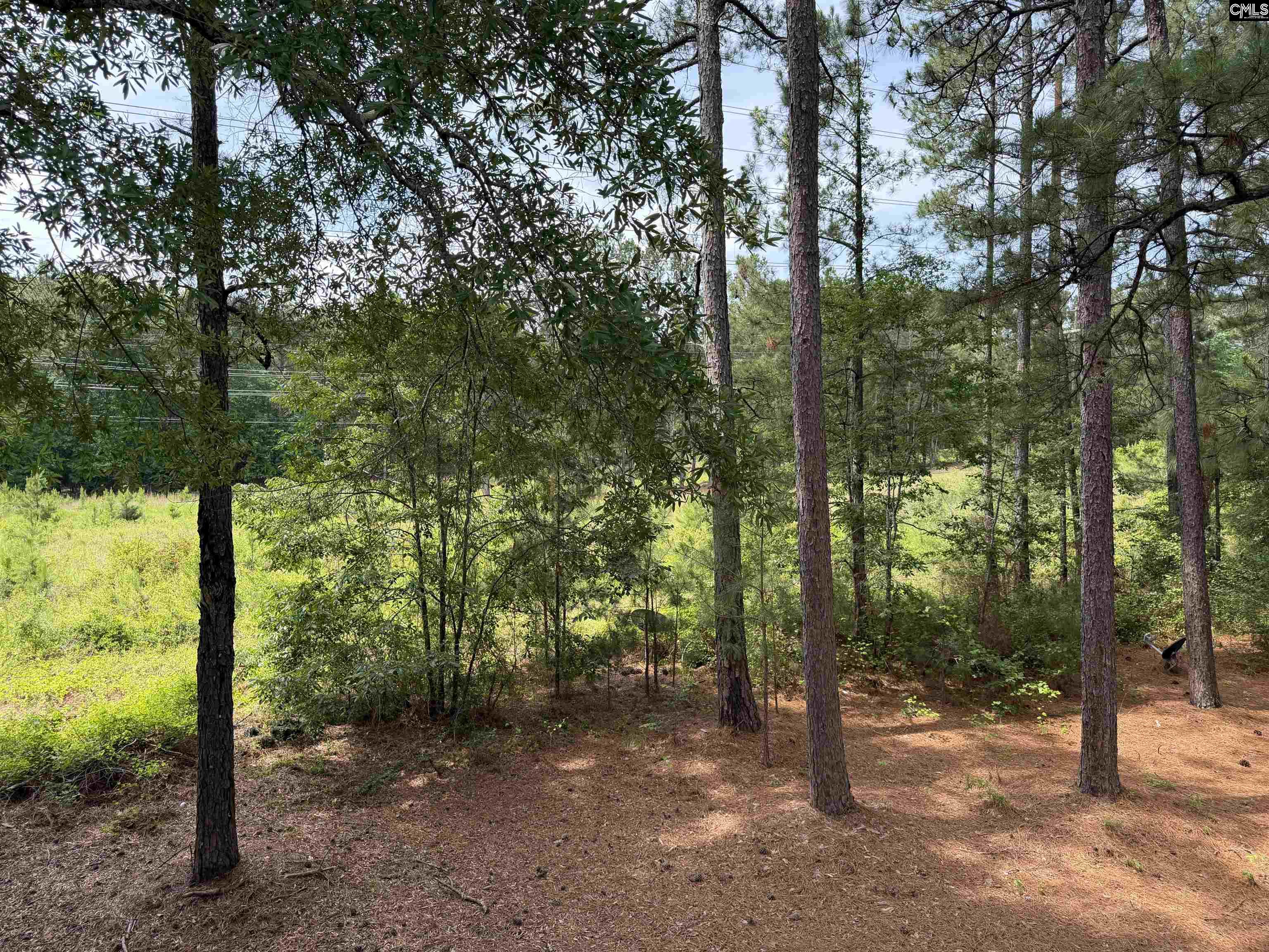 29 Battery Walk Court Columbia, SC 29212