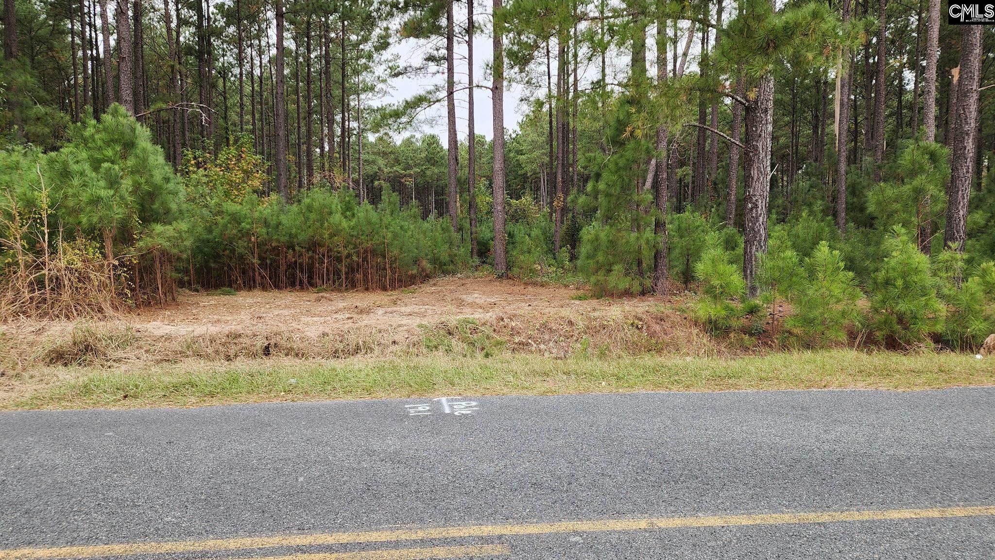 657 Old Field Road UNIT #3 Leesville, SC 29070