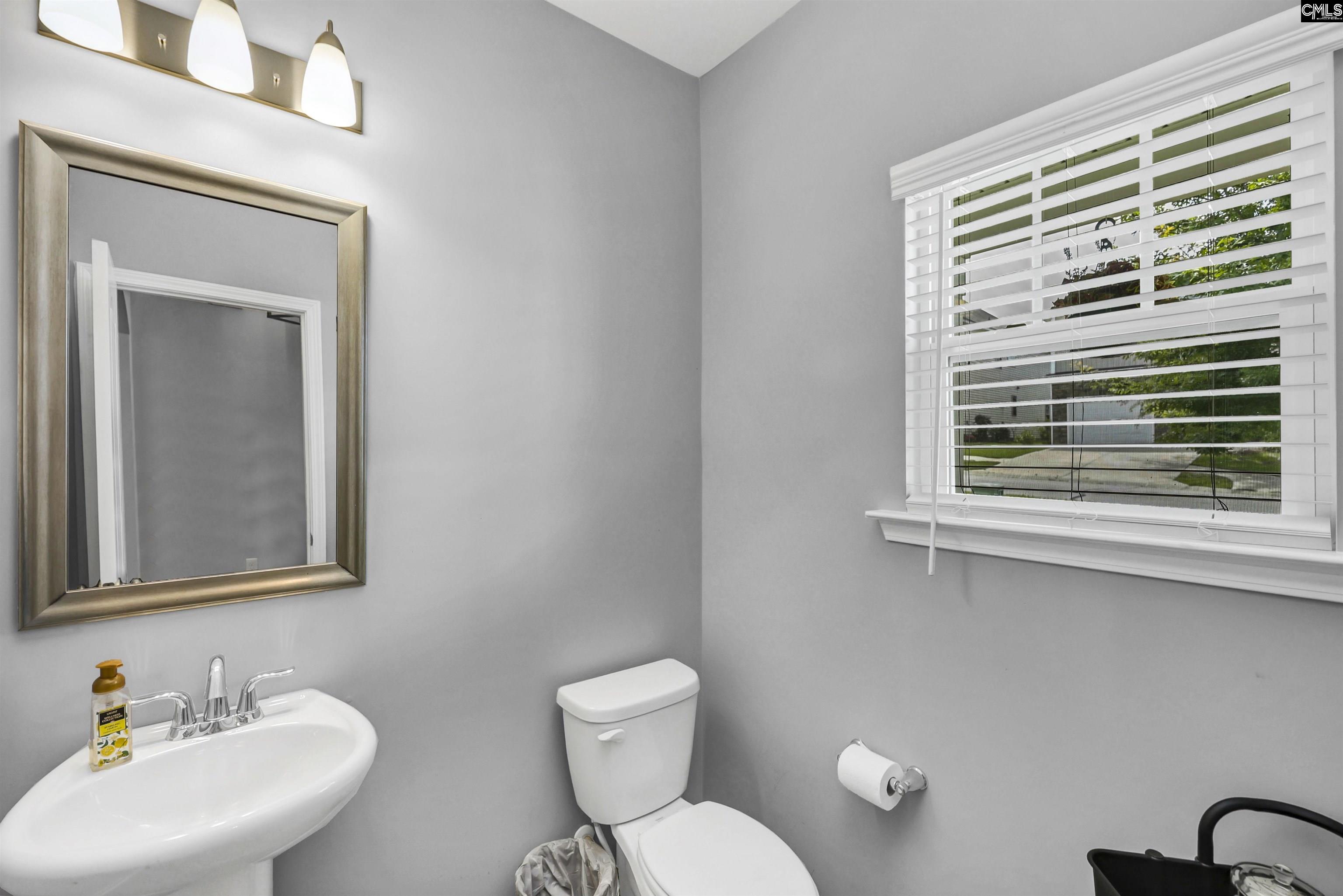 1103 Bergenfield Lane Chapin, SC 29036