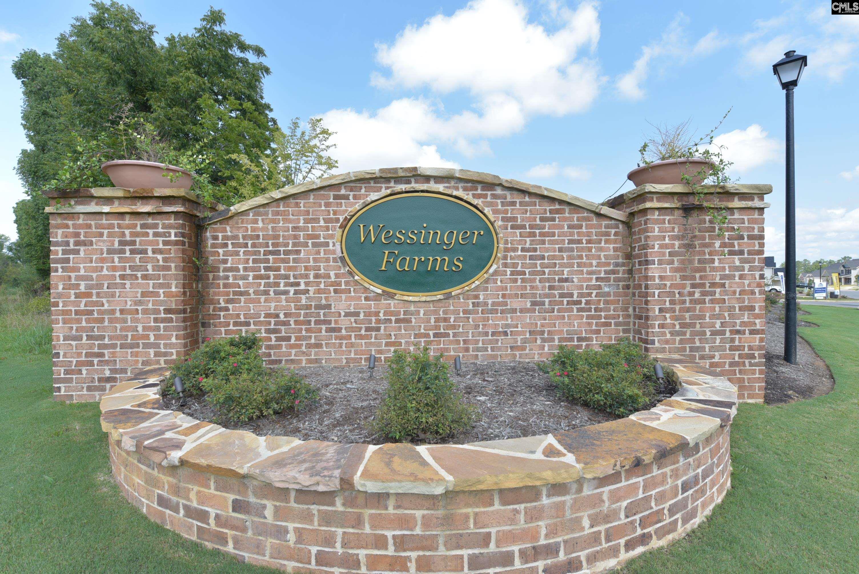 1103 Bergenfield Lane Chapin, SC 29036