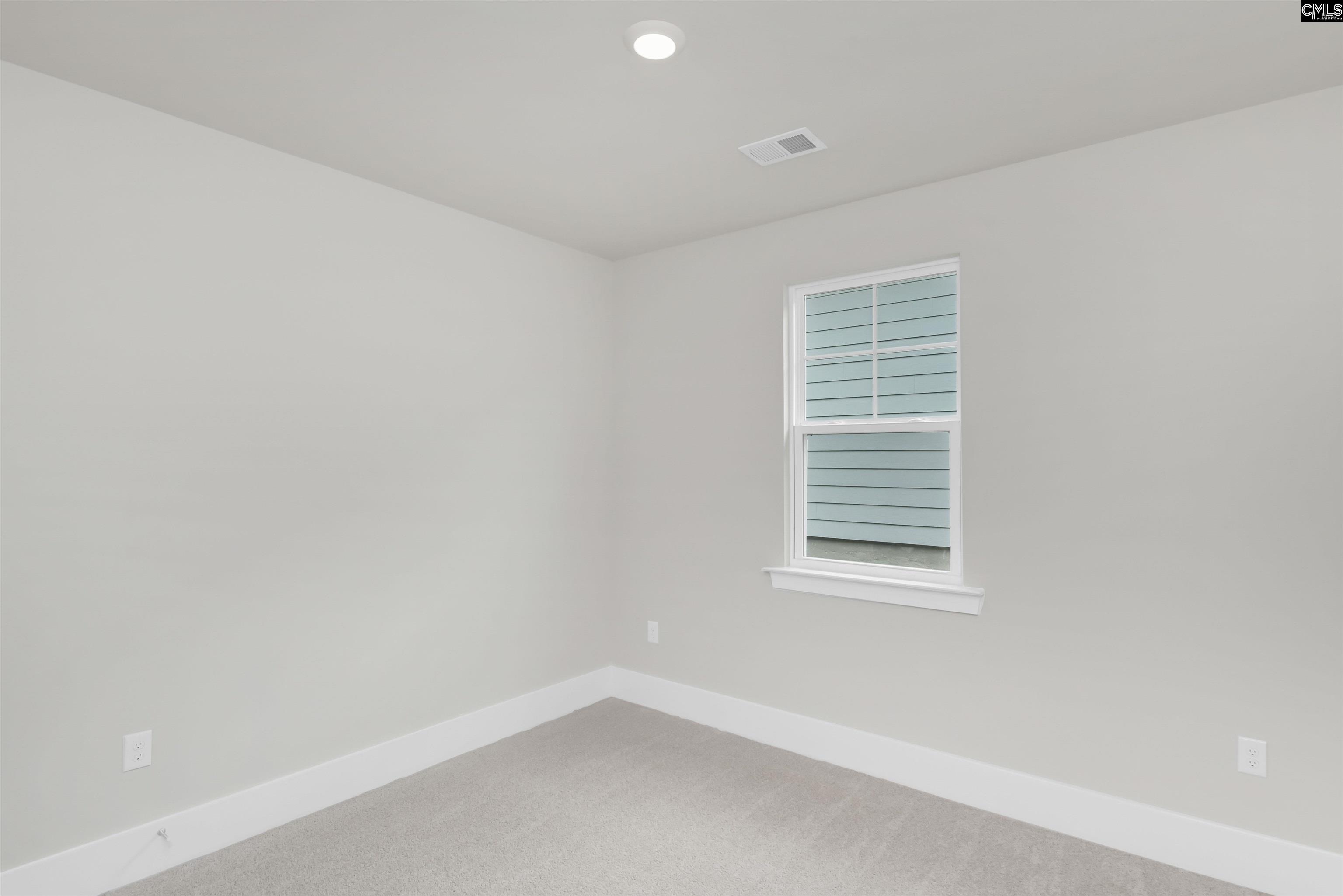125 Sunny Stream Drive Chapin, SC 29054