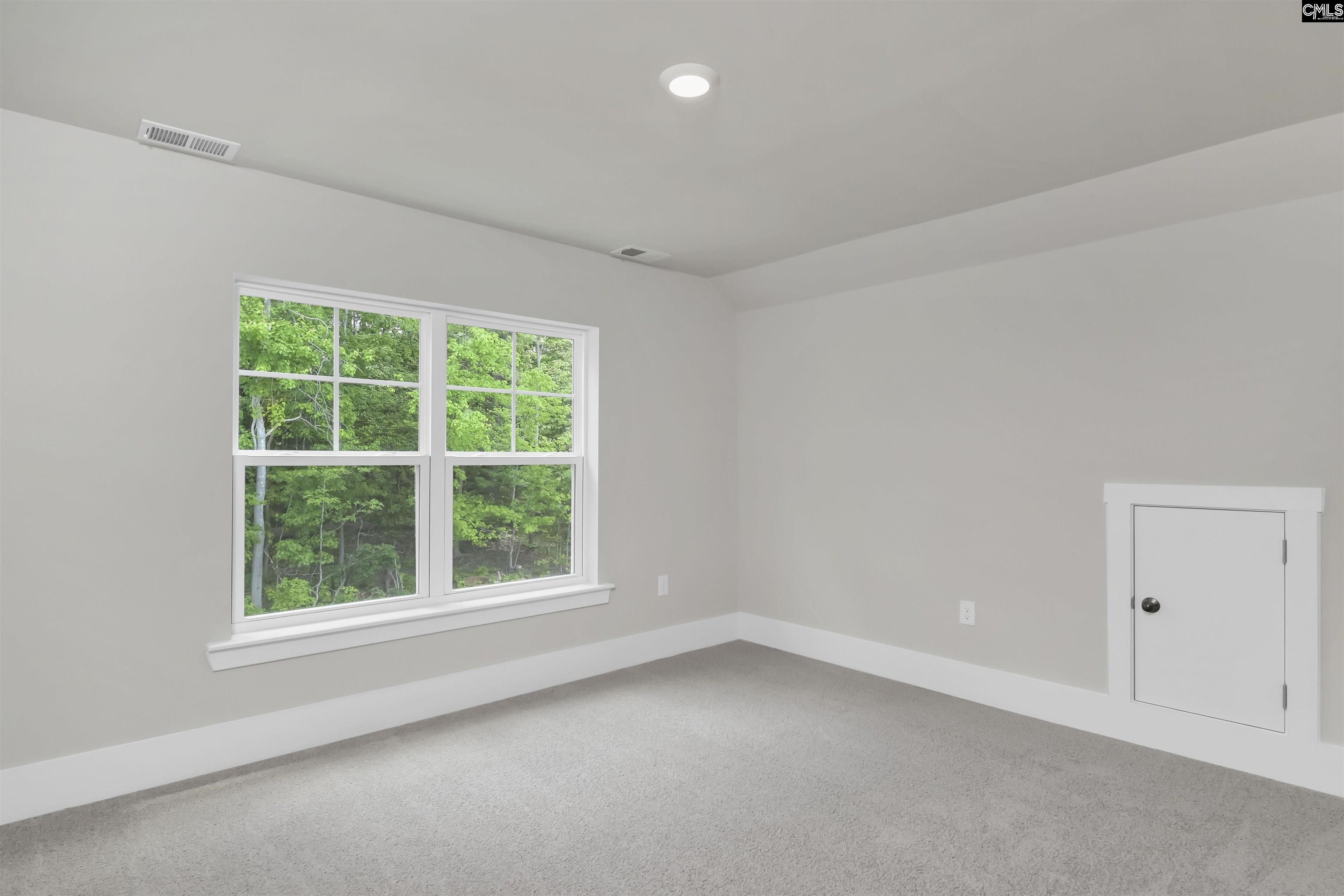 125 Sunny Stream Drive Chapin, SC 29054
