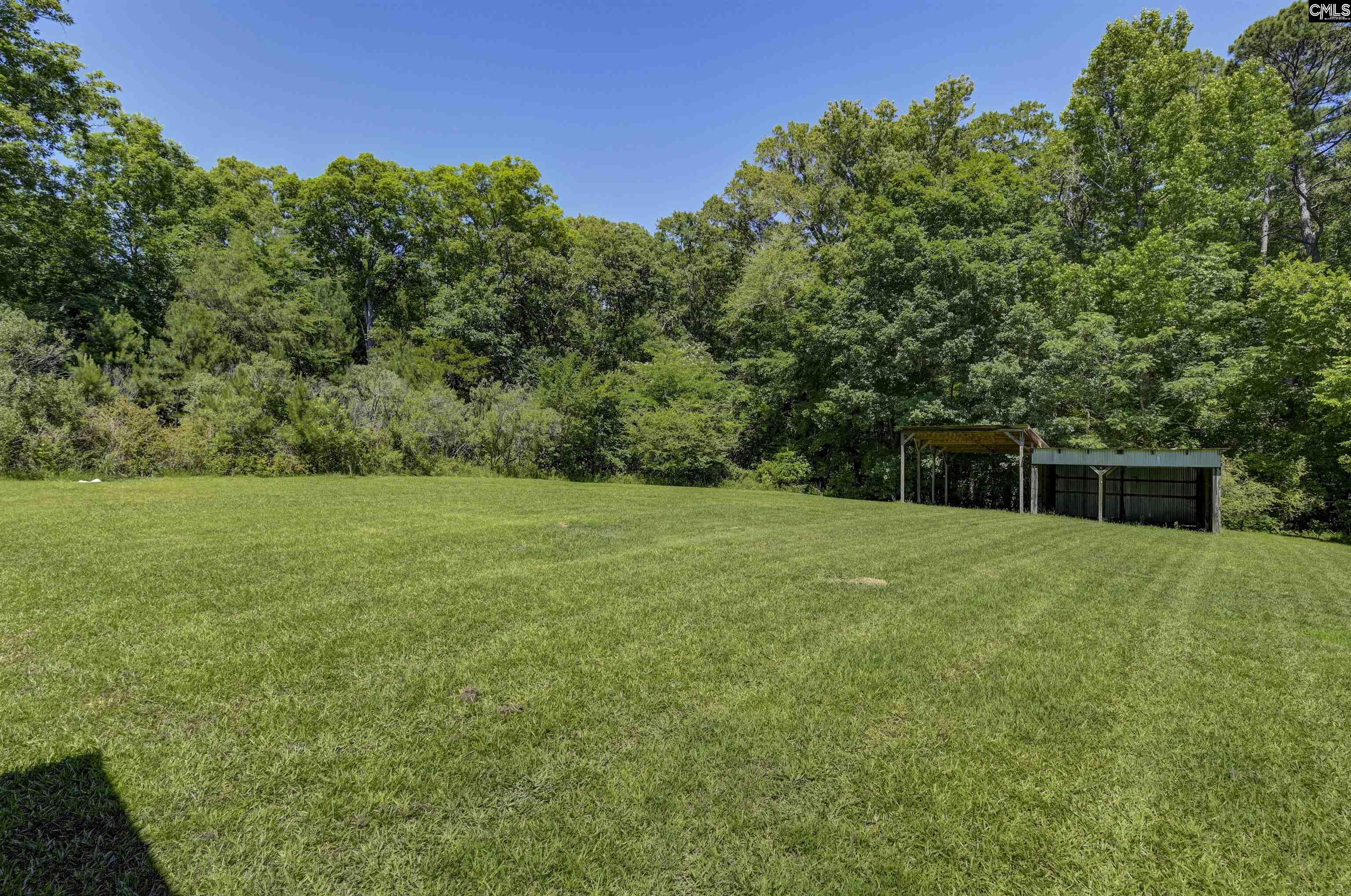 301-C Amicks Ferry Road Chapin, SC 29036