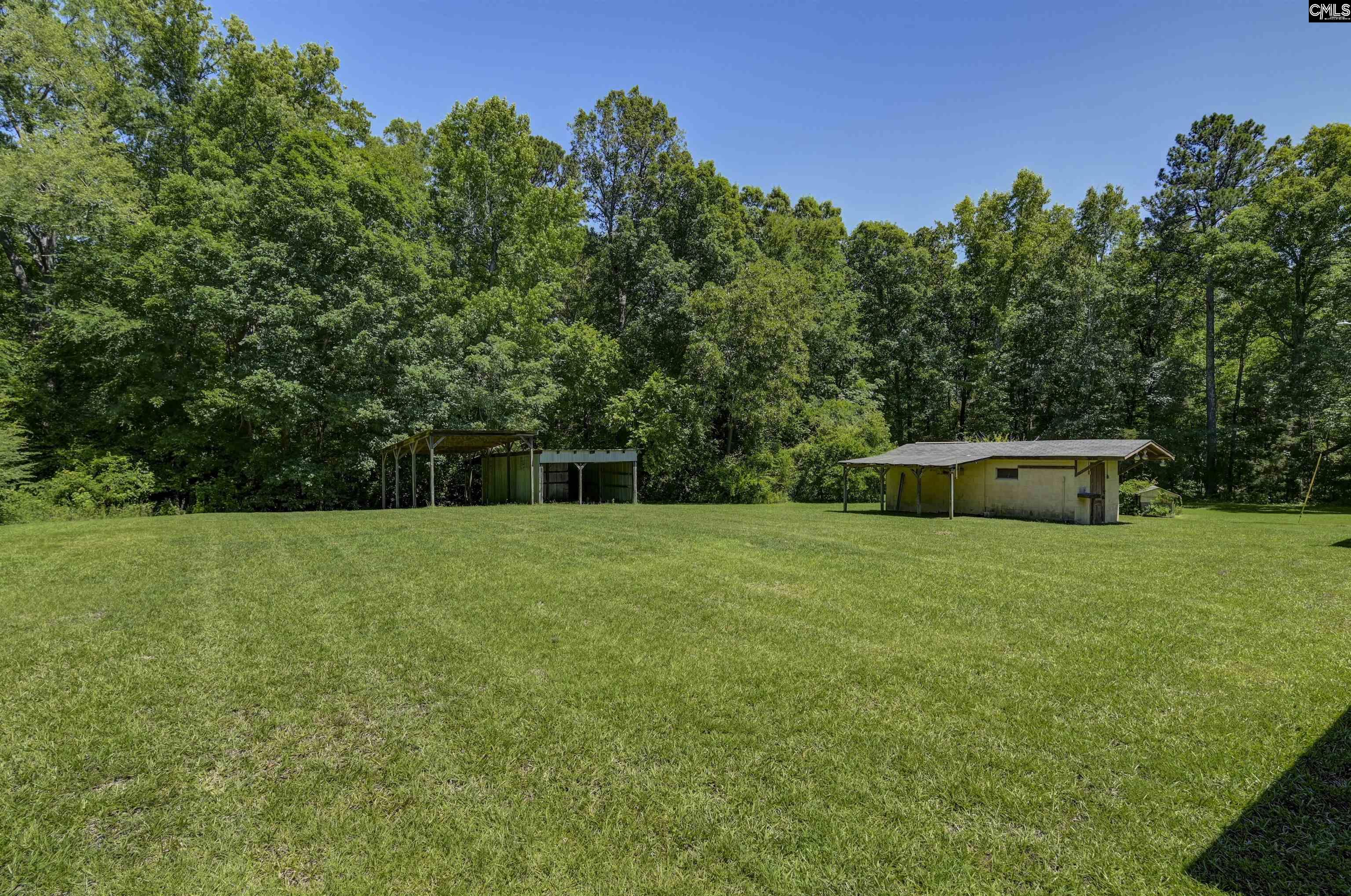 301-C Amicks Ferry Road Chapin, SC 29036