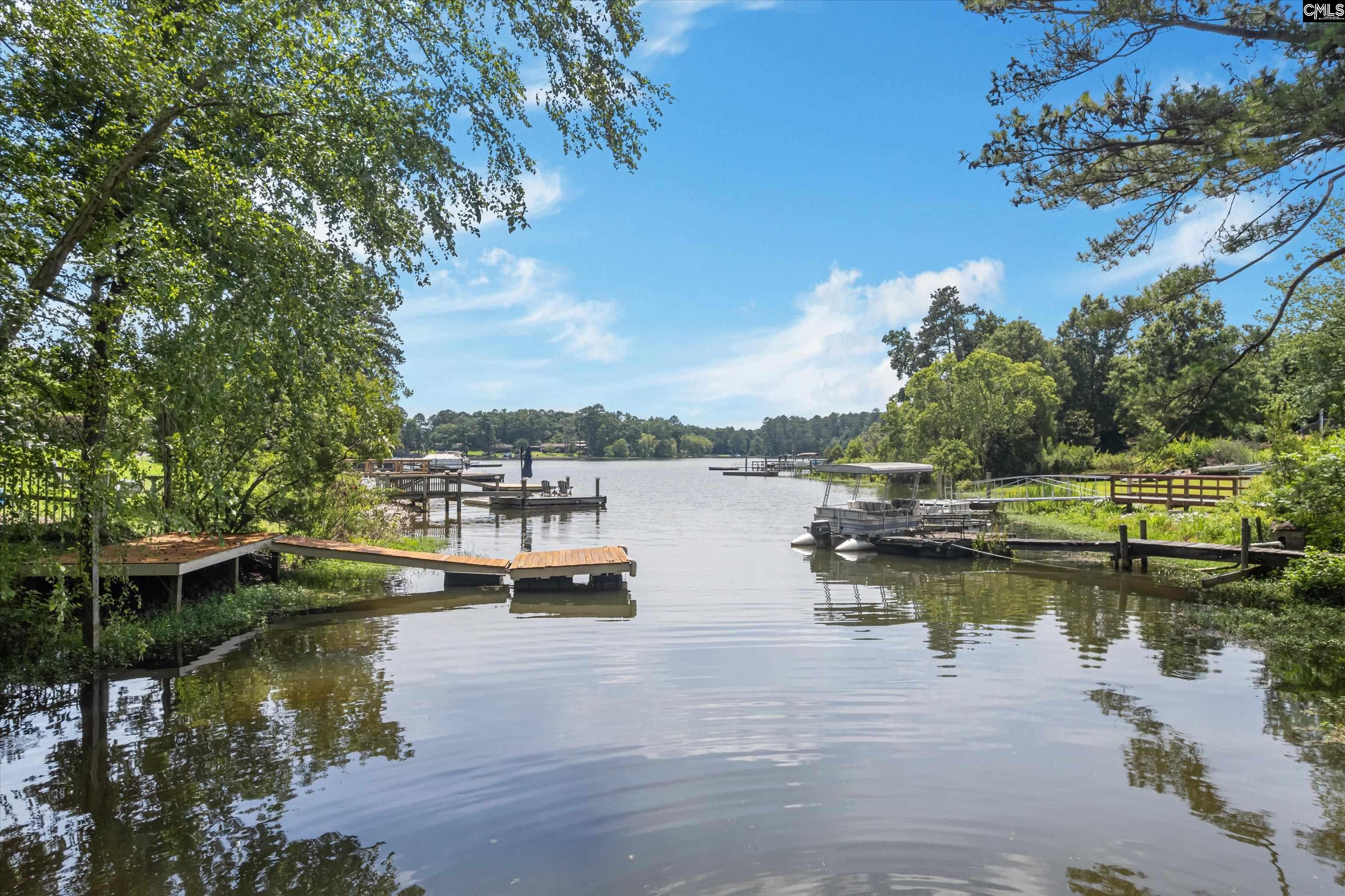 600 Newberry Drive Chapin, SC 29036
