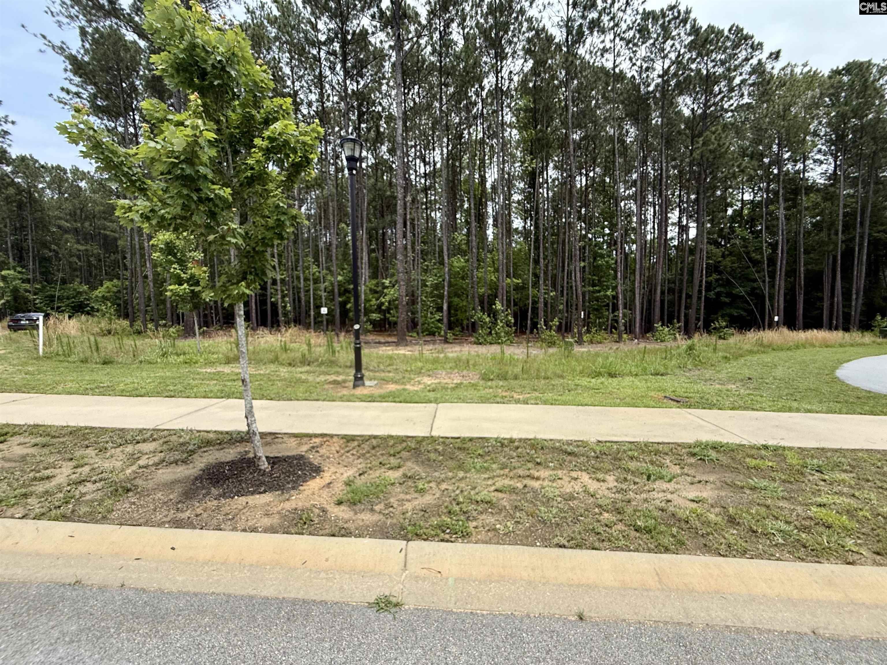 Lot 84 Timber Trail Lane UNIT #84 Prosperity, SC 29127