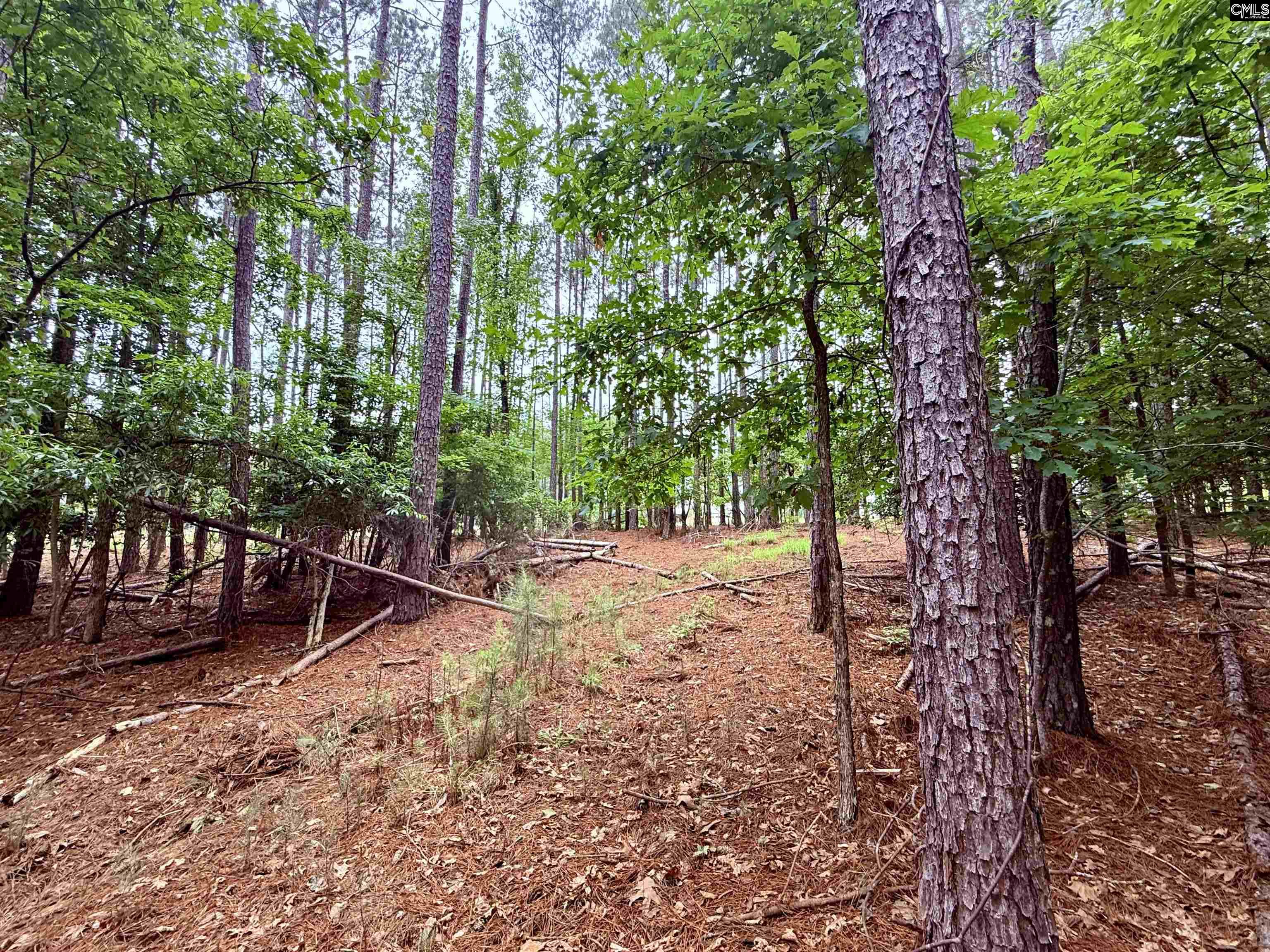 Lot 84 Timber Trail Lane UNIT #84 Prosperity, SC 29127