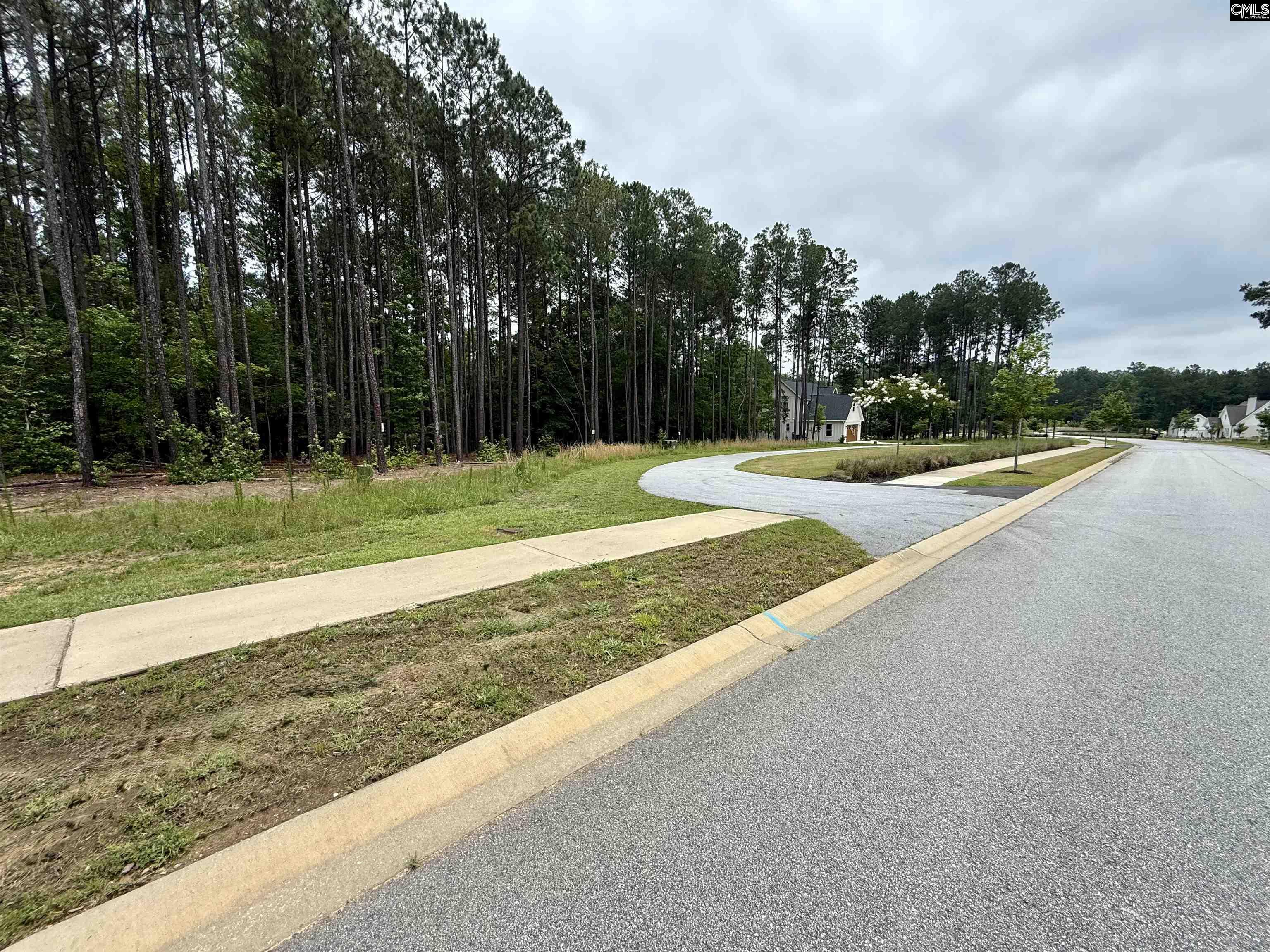 Lot 84 Timber Trail Lane UNIT #84 Prosperity, SC 29127