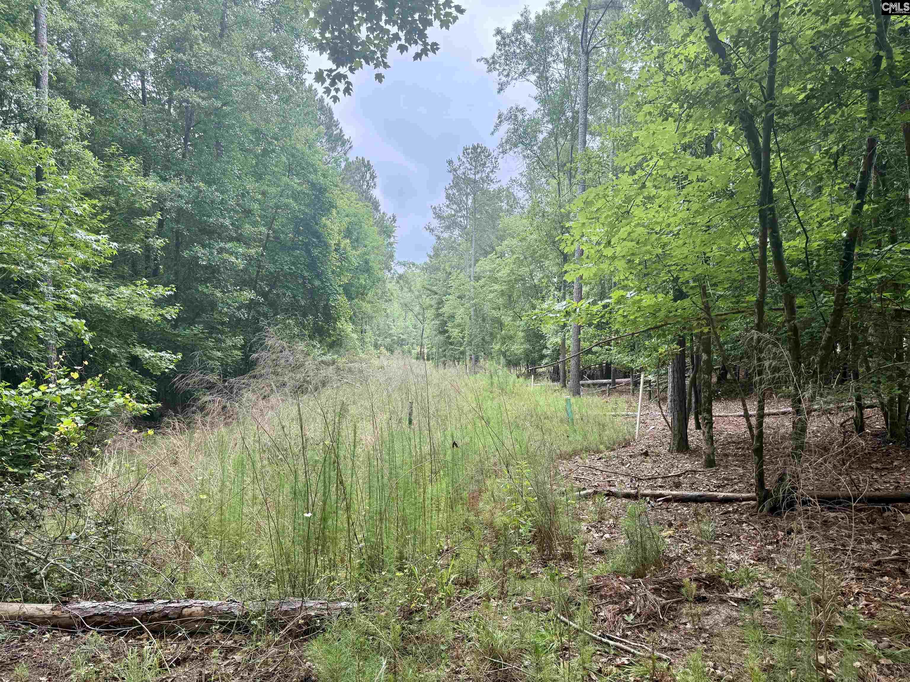 Lot 84 Timber Trail Lane UNIT #84 Prosperity, SC 29127