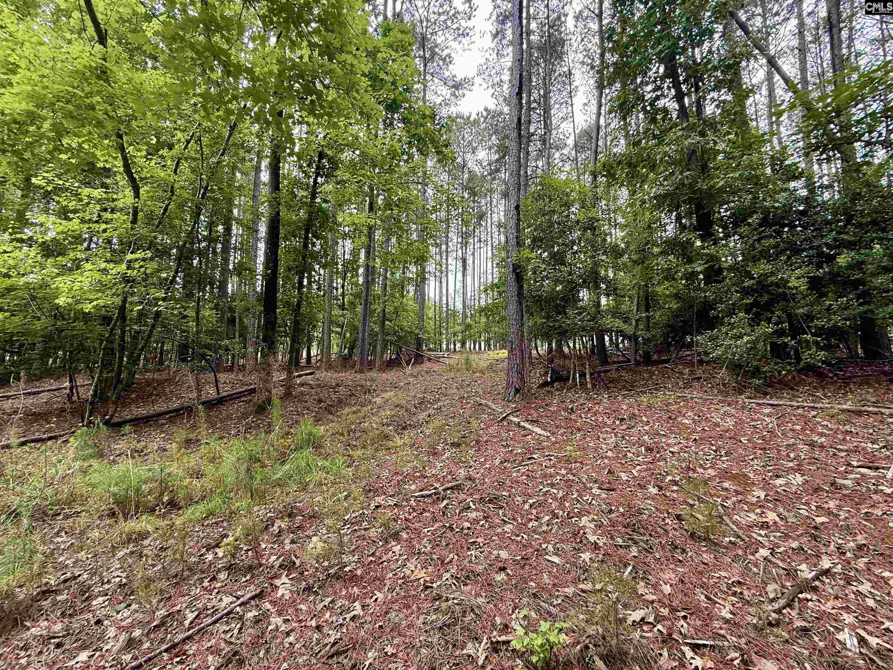 Lot 84 Timber Trail Lane UNIT #84 Prosperity, SC 29127