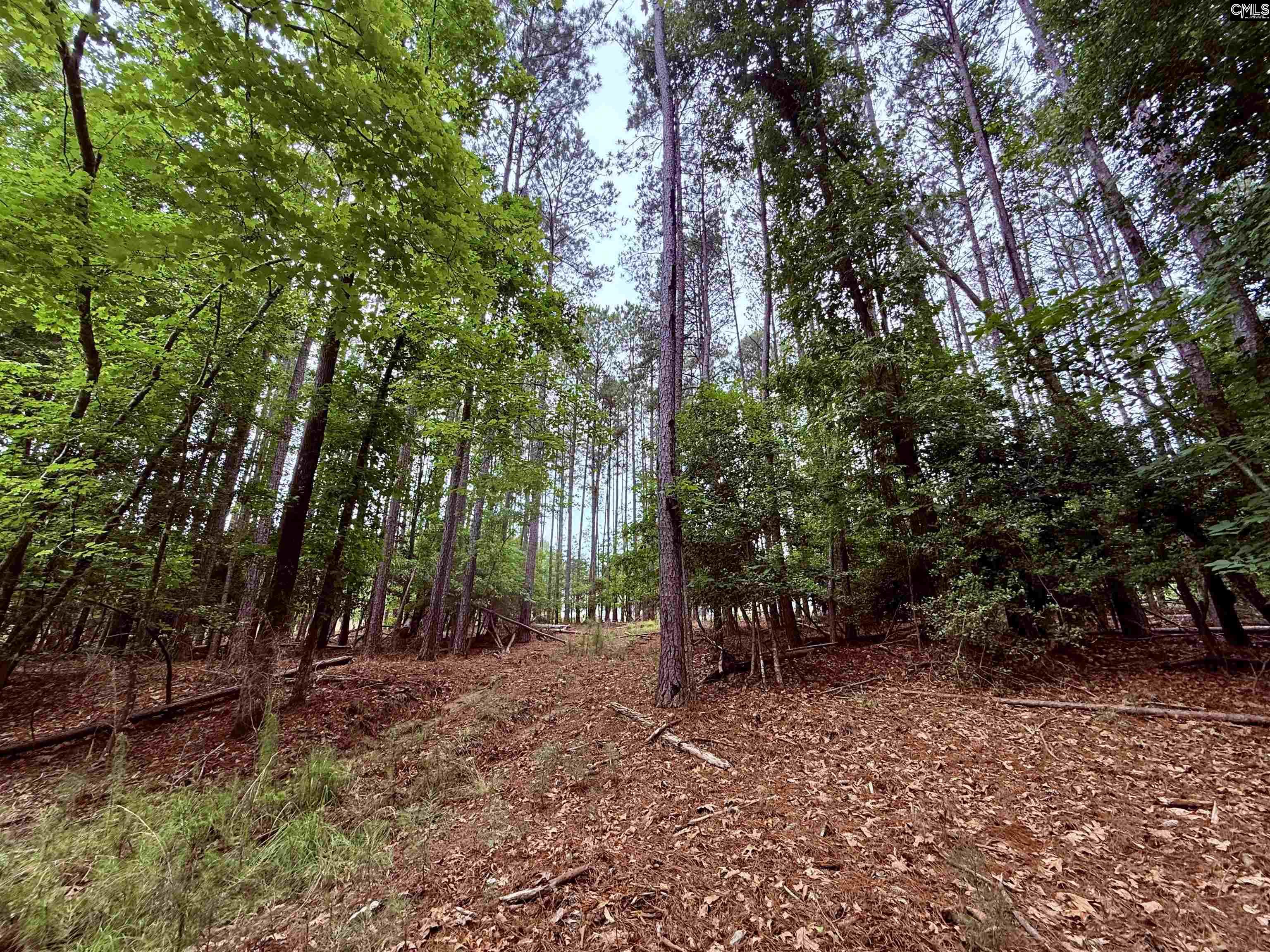 Lot 84 Timber Trail Lane UNIT #84 Prosperity, SC 29127