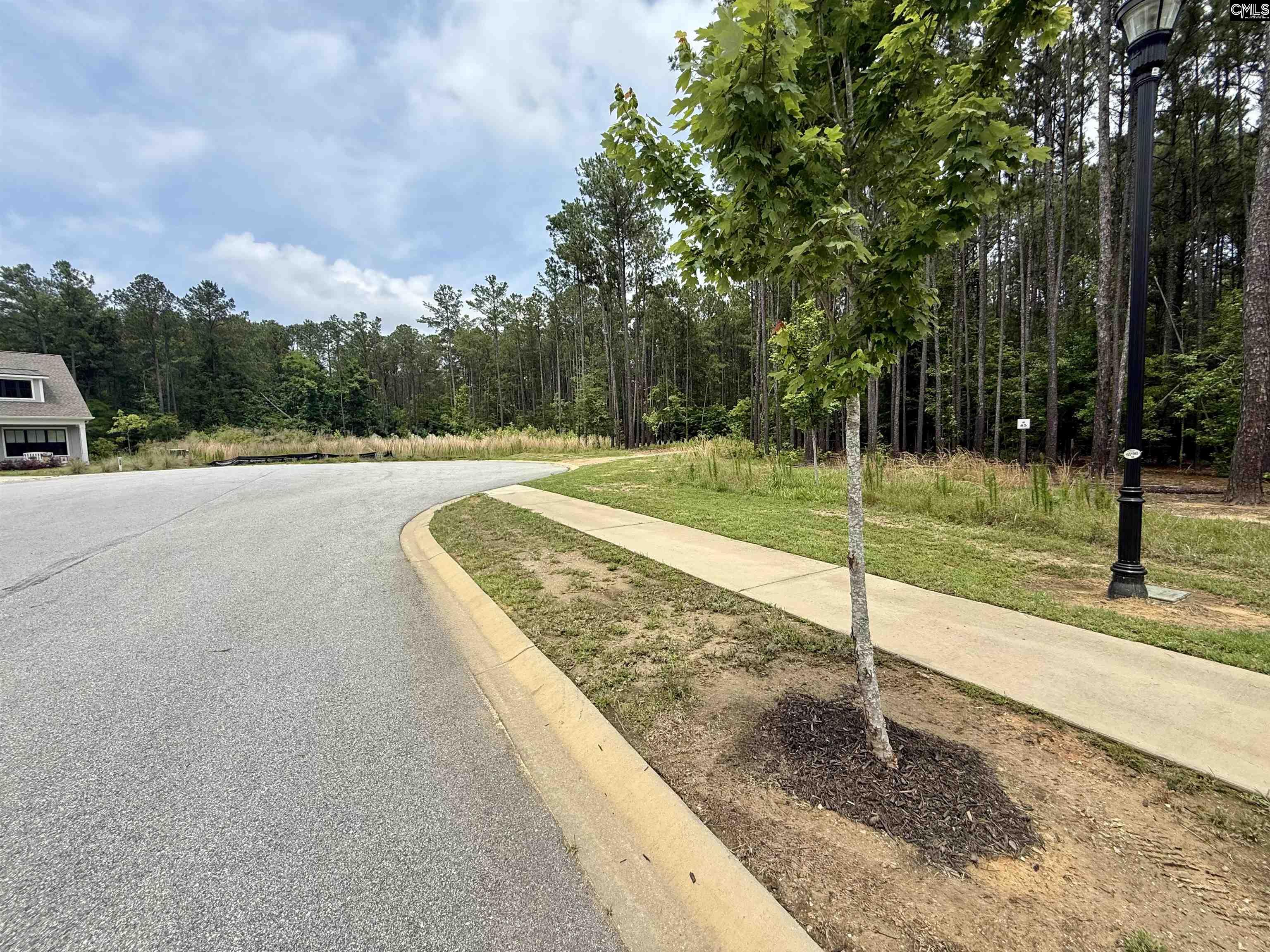 Lot 85 Timber Trail Lane UNIT #85 Prosperity, SC 29127