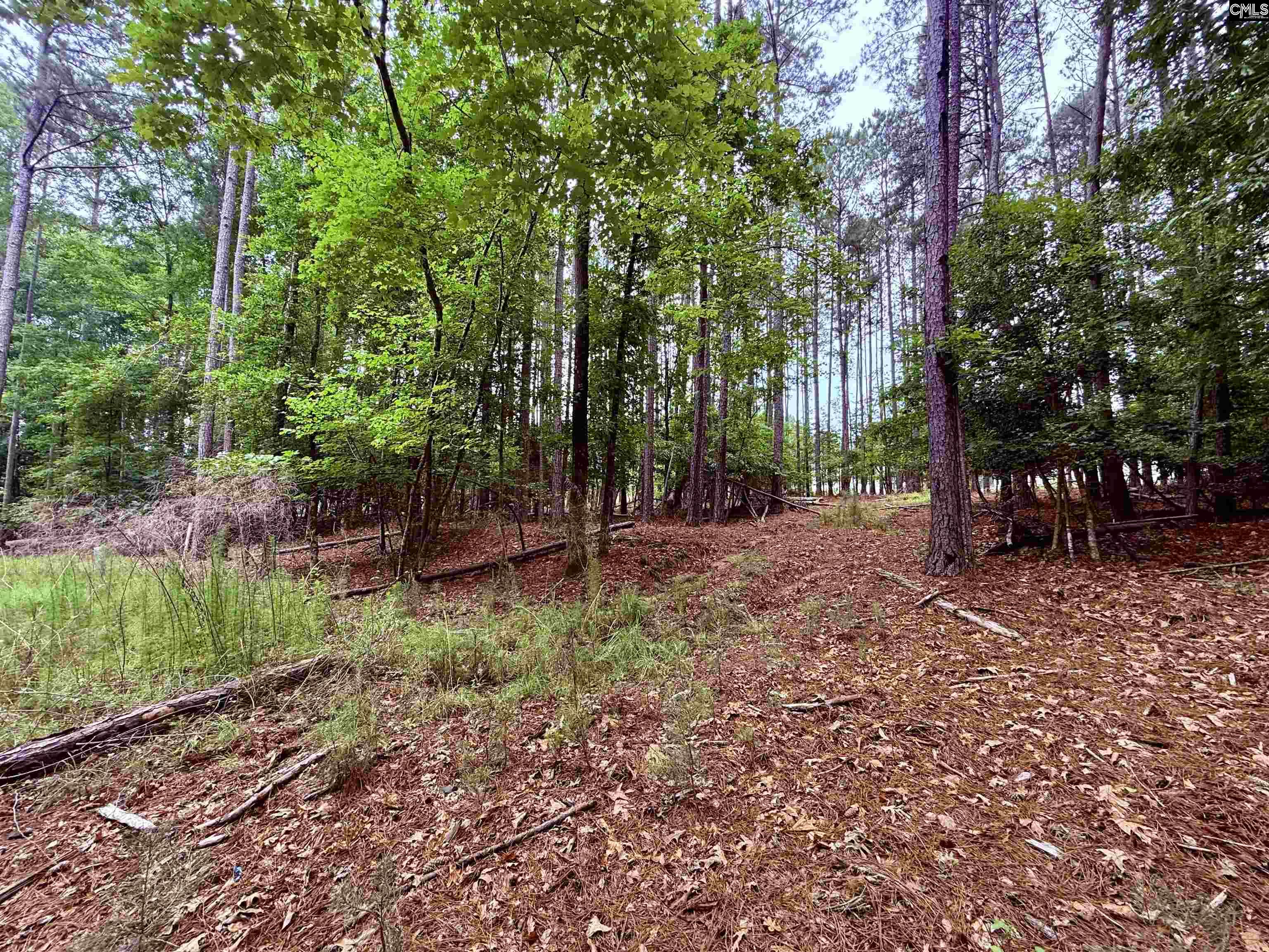 Lot 85 Timber Trail Lane UNIT #85 Prosperity, SC 29127