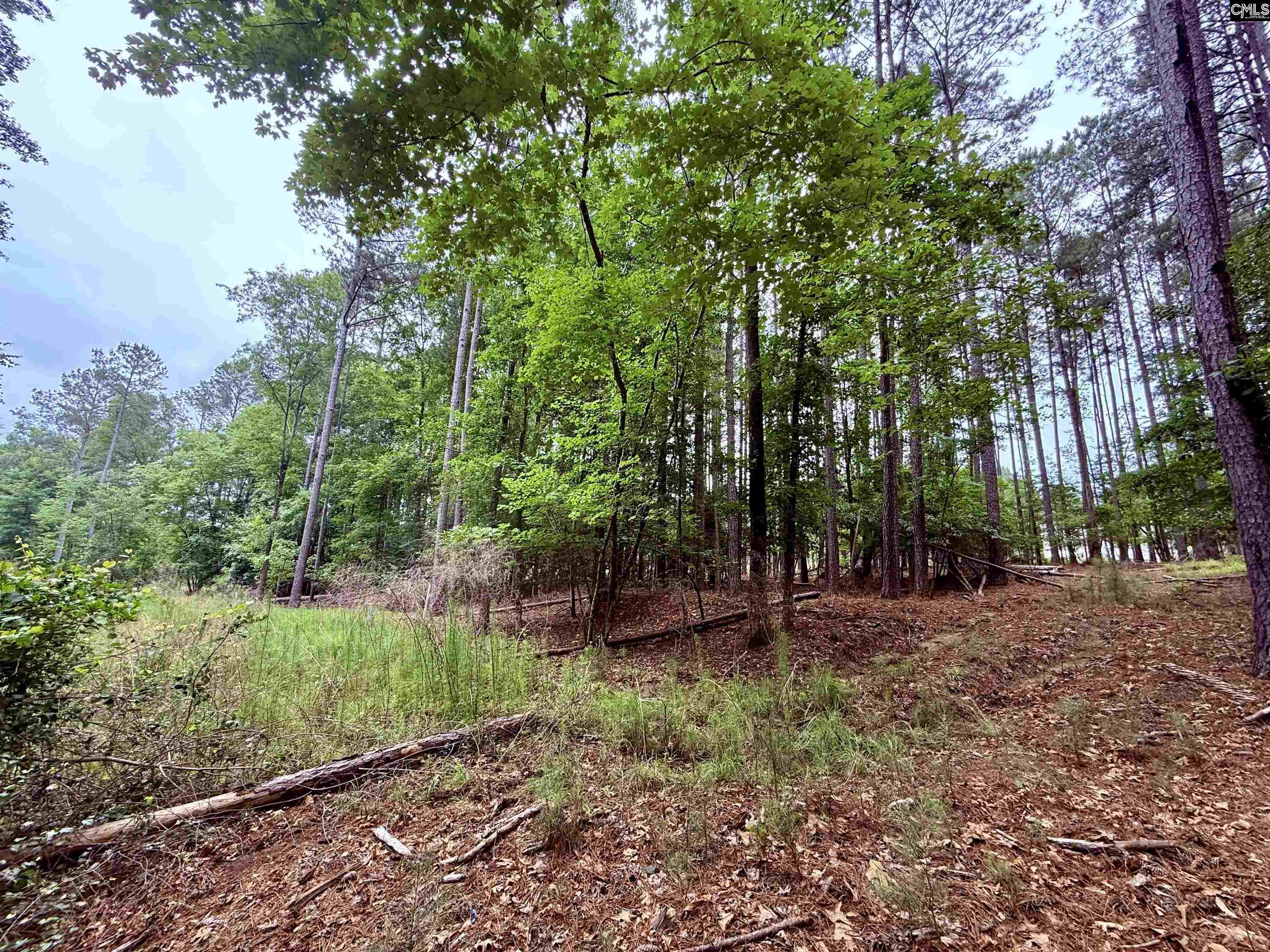 Lot 85 Timber Trail Lane UNIT #85 Prosperity, SC 29127