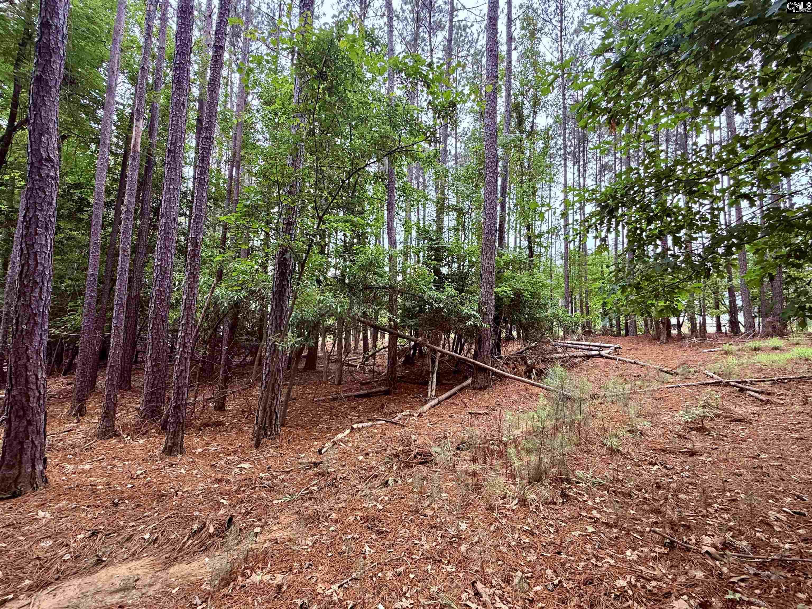 Lot 85 Timber Trail Lane UNIT #85 Prosperity, SC 29127
