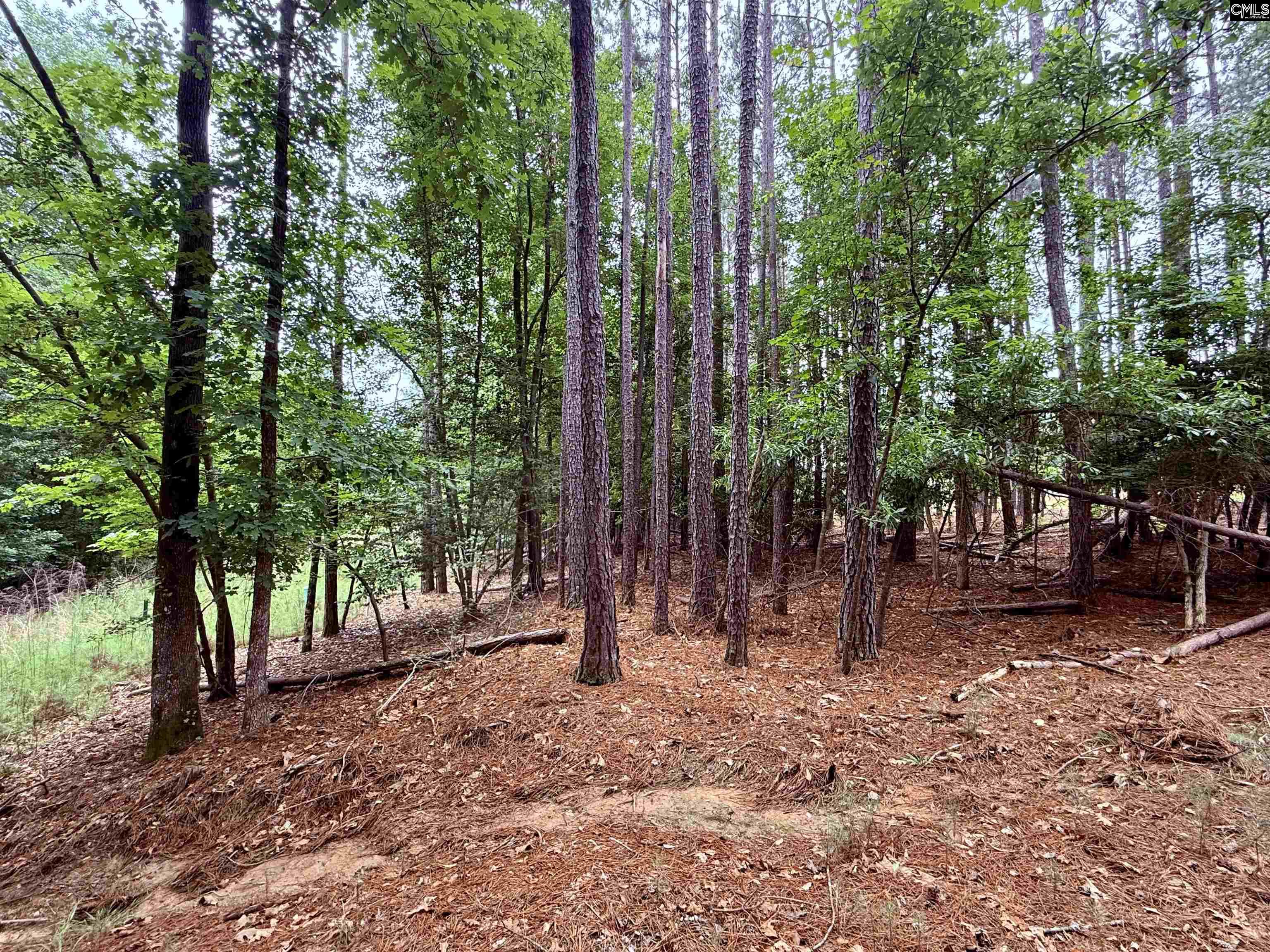Lot 85 Timber Trail Lane UNIT #85 Prosperity, SC 29127