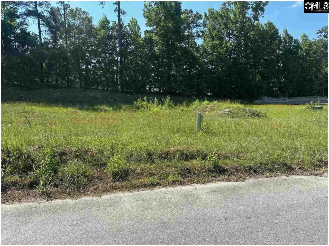 725 Club Cottage Drive Blythewood, SC 29016