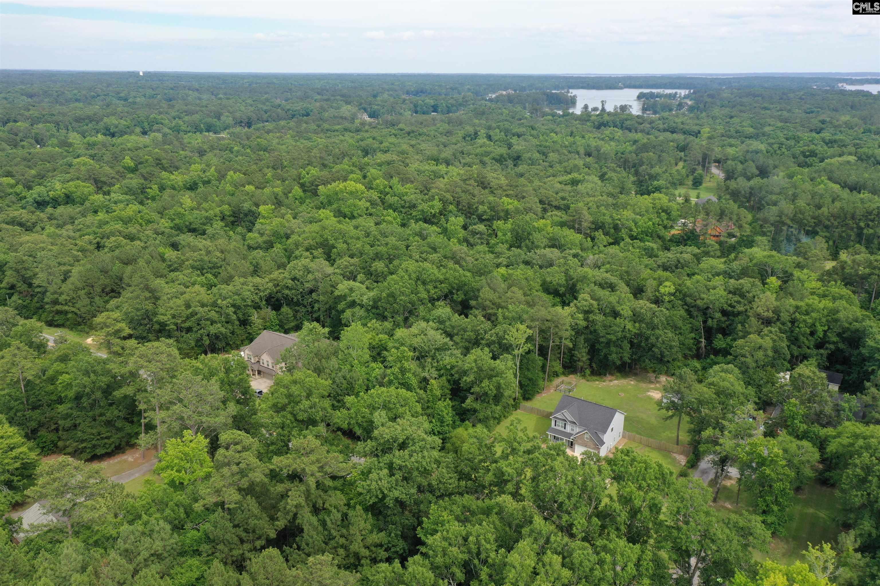743 Amicks Ferry Road Chapin, SC 29036