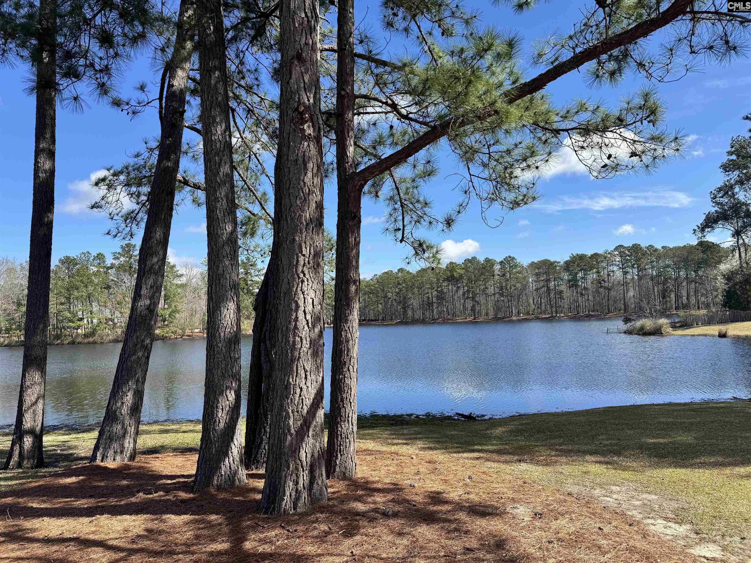 610 Corkscrew Lane Blythewood, SC 29016
