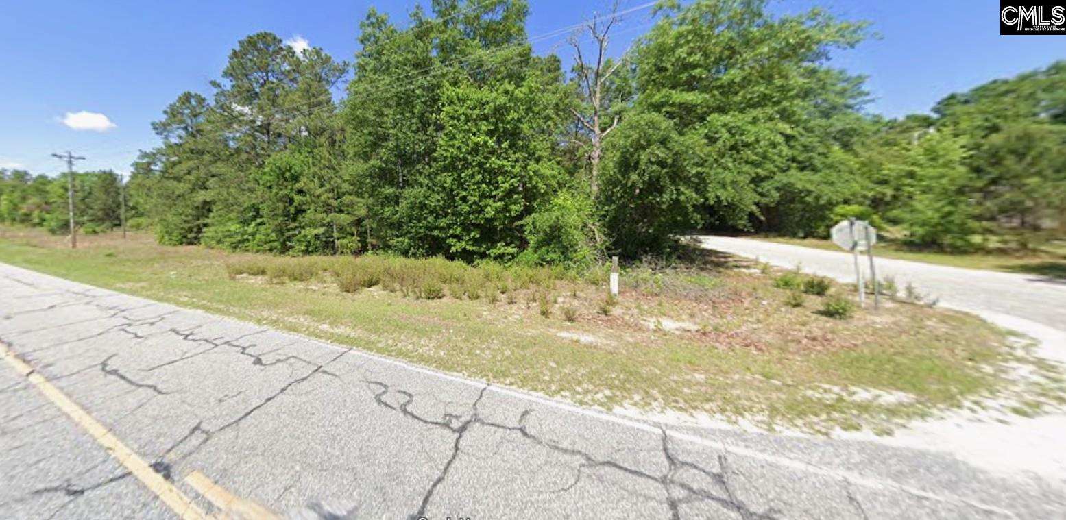 403 Gantt Street Bethune, SC 29009