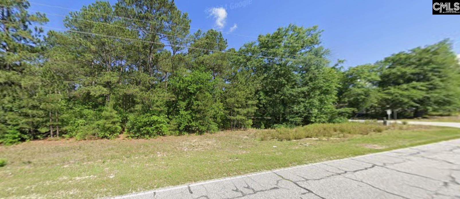 403 Gantt Street Bethune, SC 29009