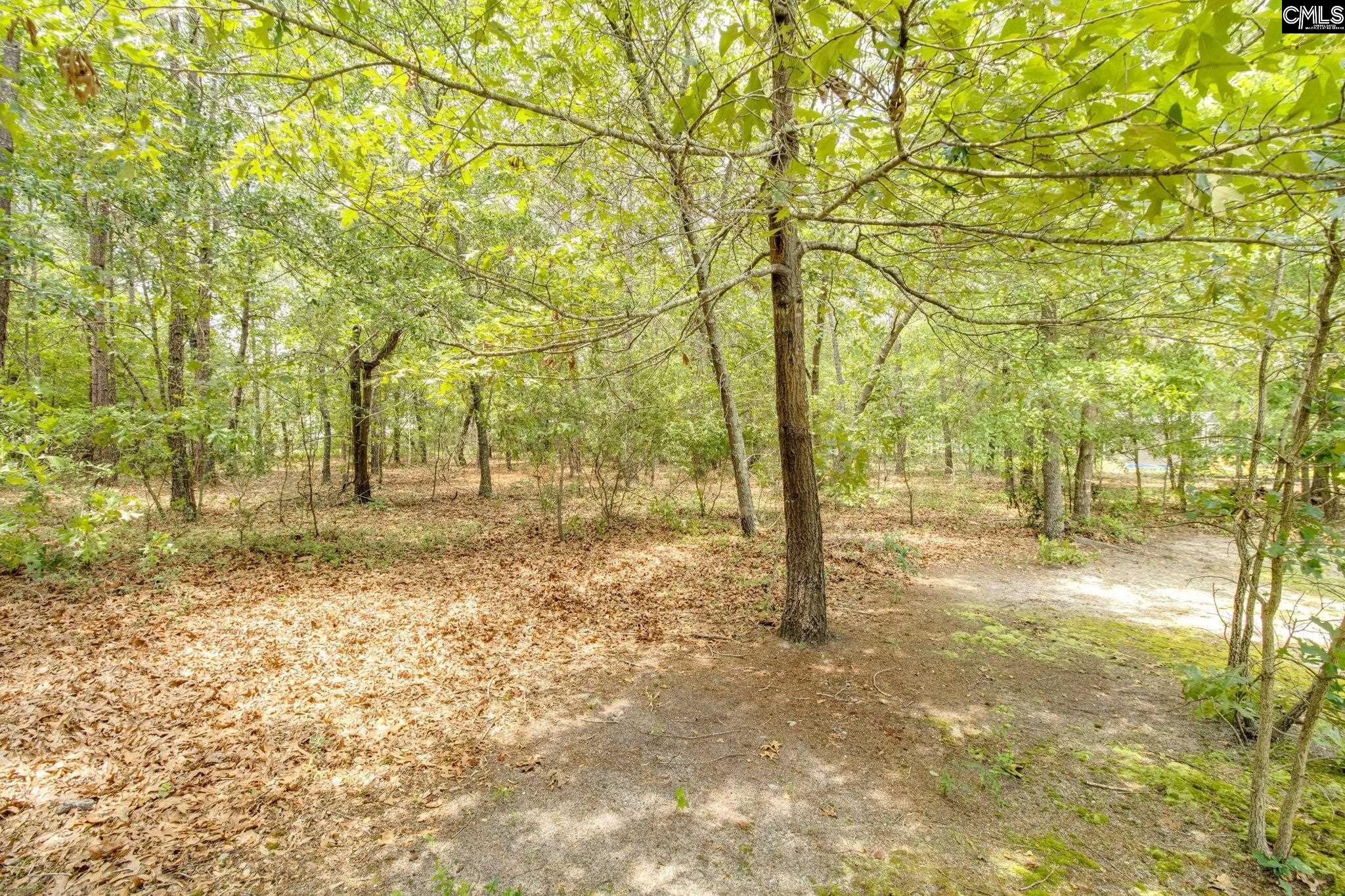 13 Whistling Duck Cove Lugoff, SC 29078