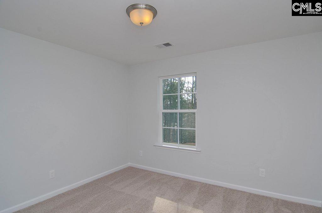 356 Hollow Cove Road Chapin, SC 29036