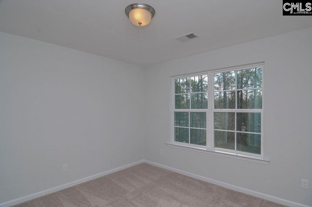 356 Hollow Cove Road Chapin, SC 29036