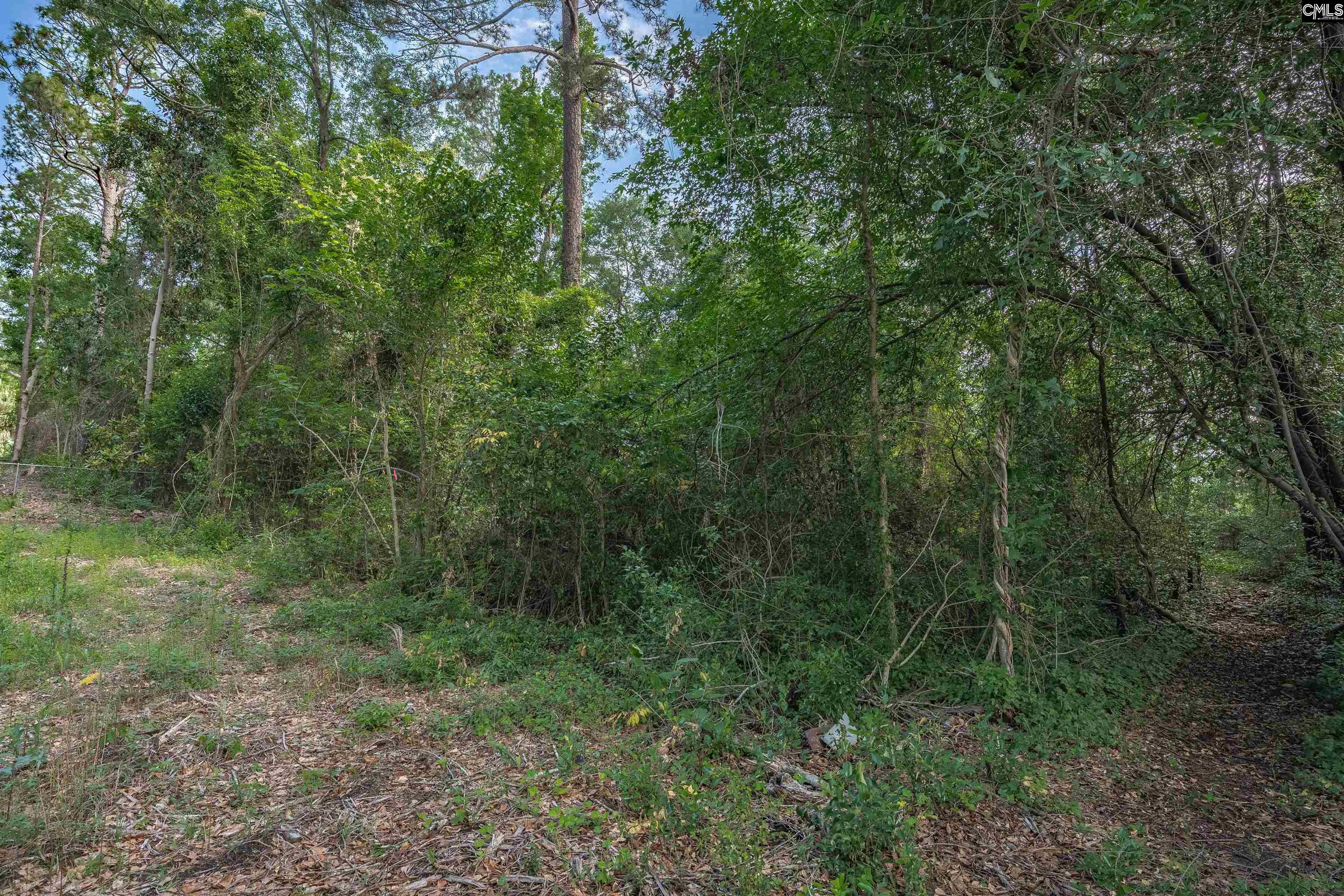 5318 Pinestraw Road Columbia, SC 29206